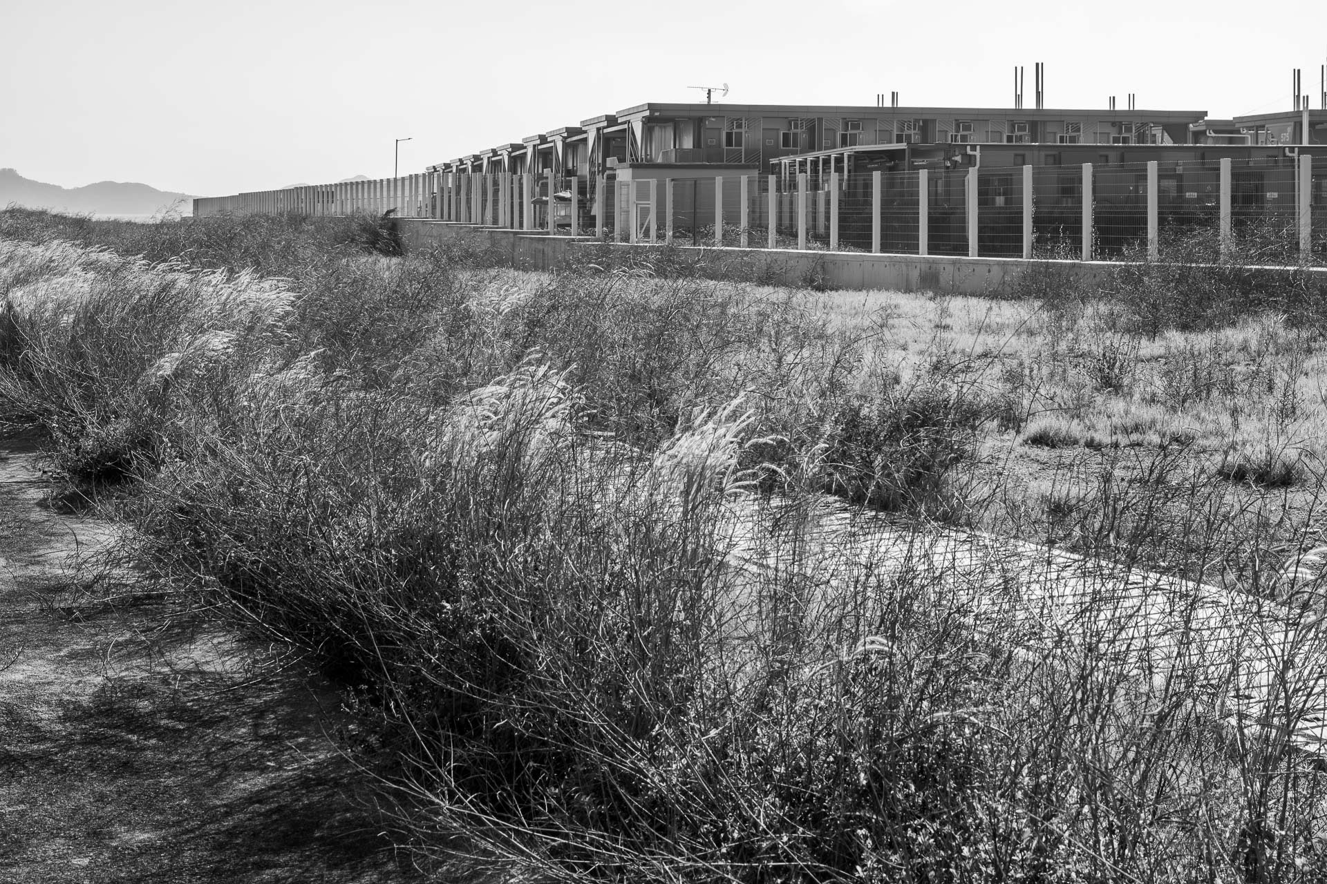 HK Quartine Centre, Penny Bay, new topographic 6