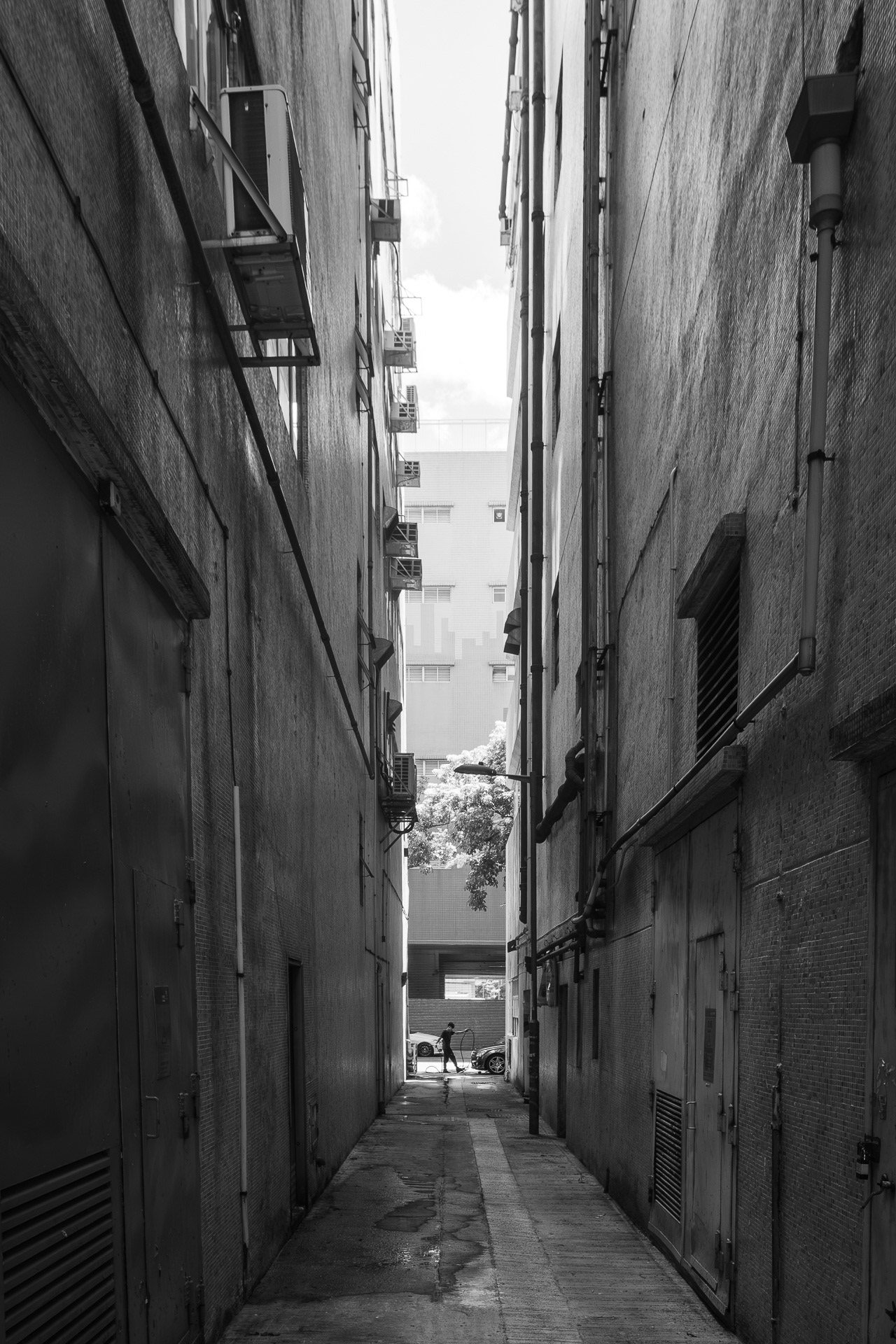 Hong Kong Day Alley, Fanling