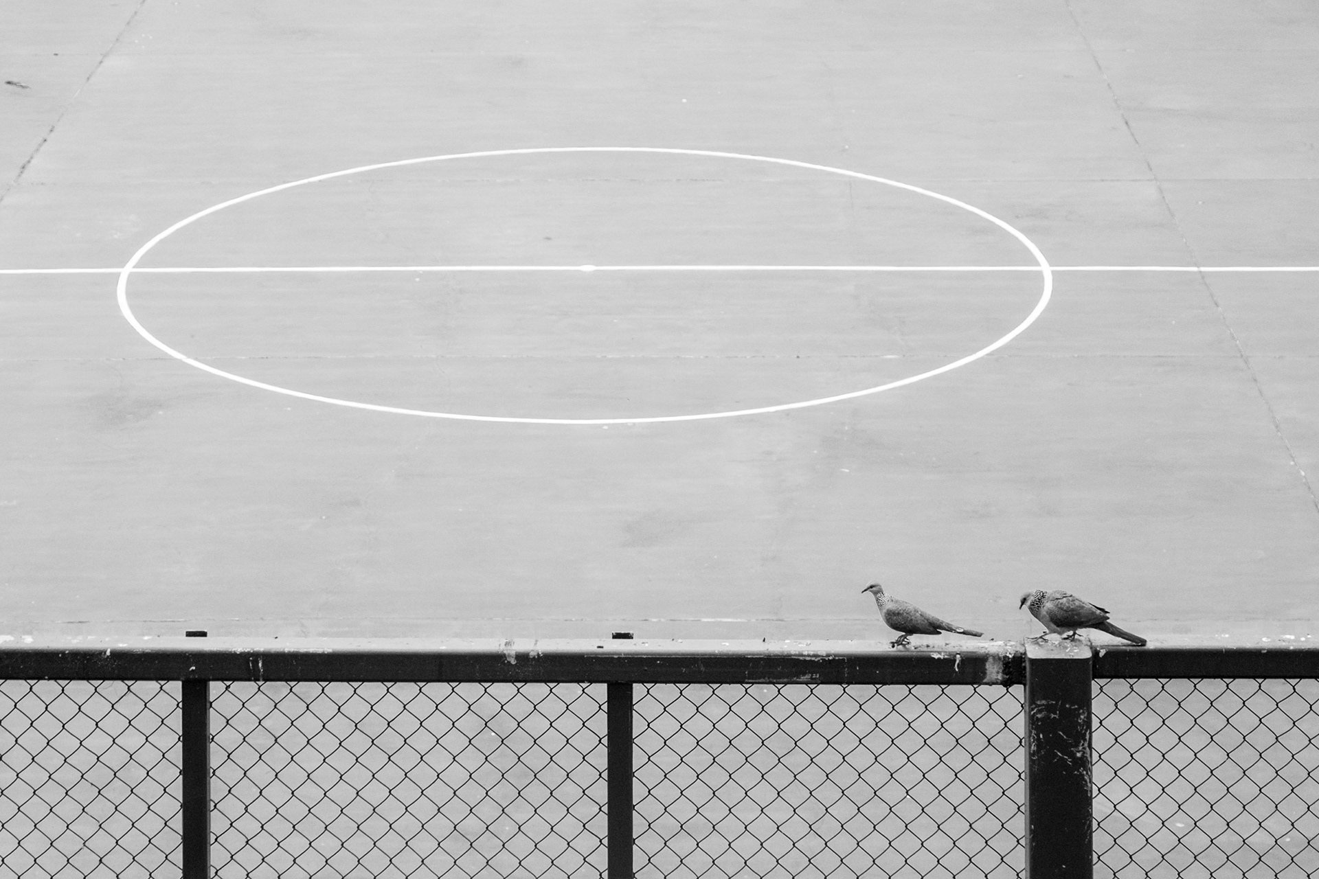 Geometry Points and Lines Photography in Hong Kong 17