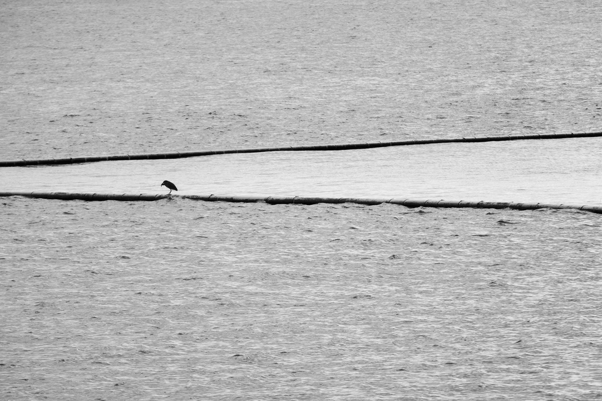 Geometry Points and Lines Photography in Hong Kong 20