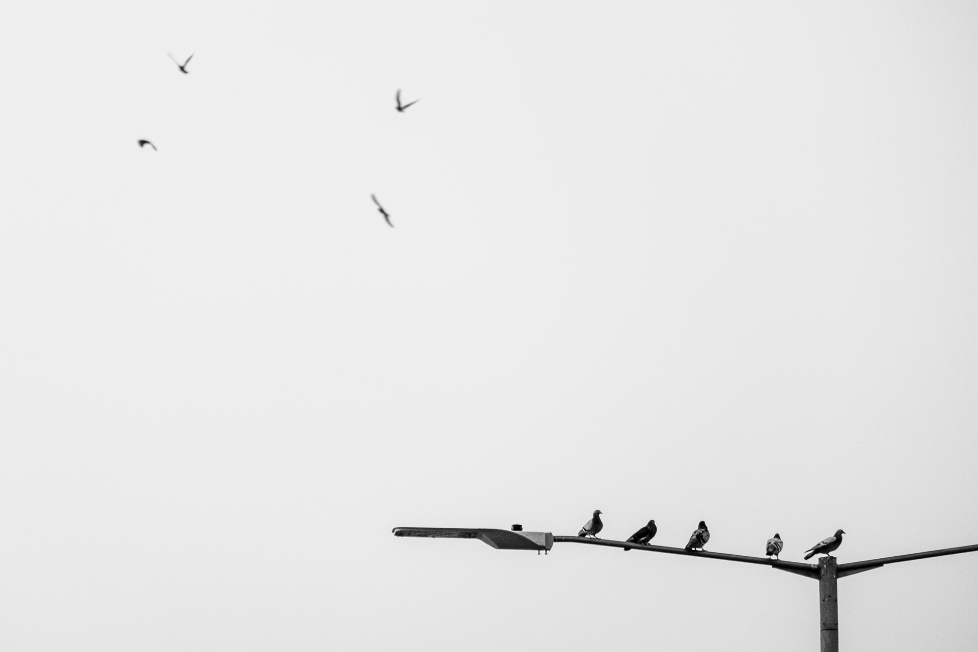 Geometry Points and Lines Photography in Hong Kong 19