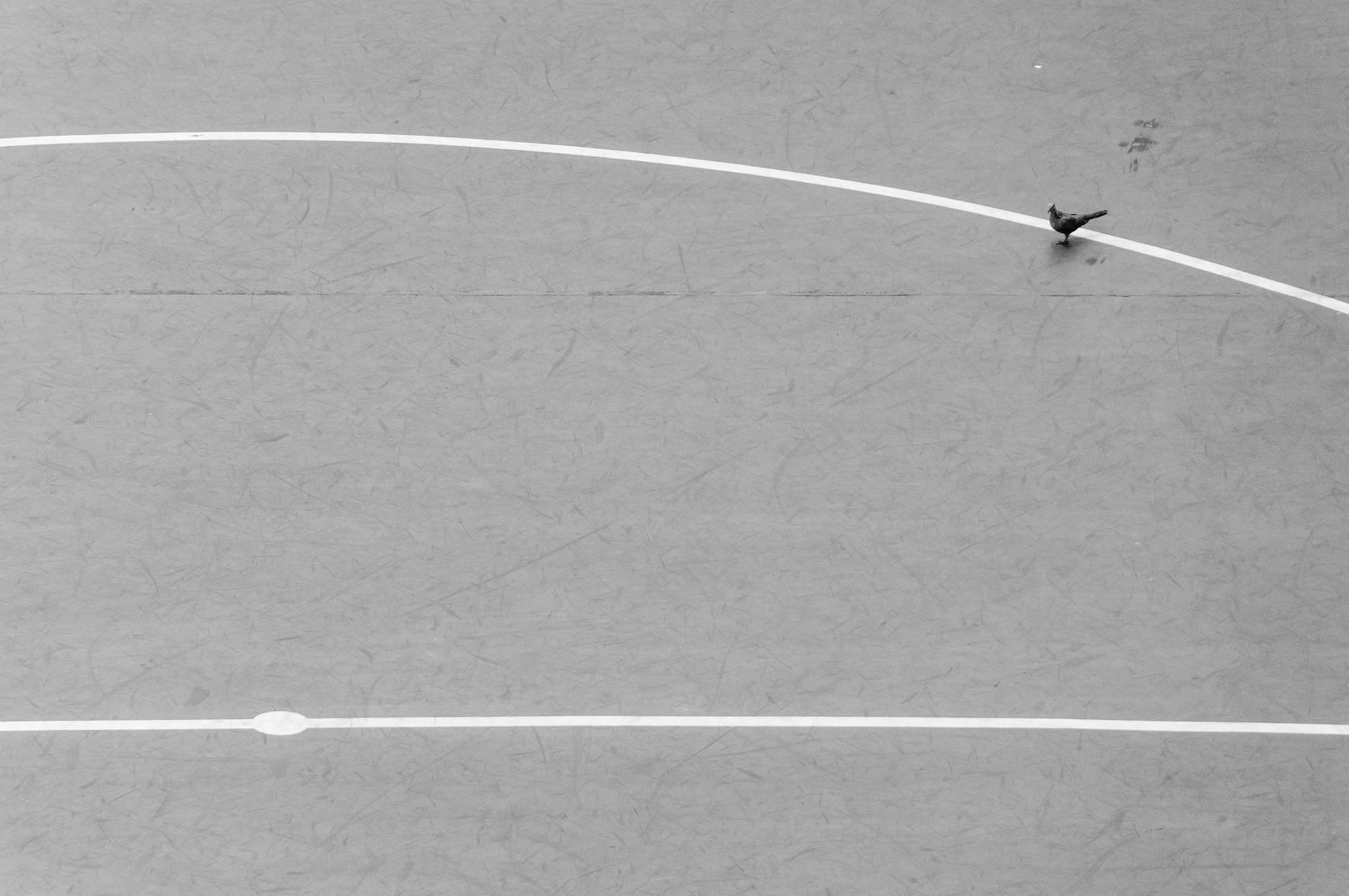 Geometry Points and Lines Photography in Hong Kong 24