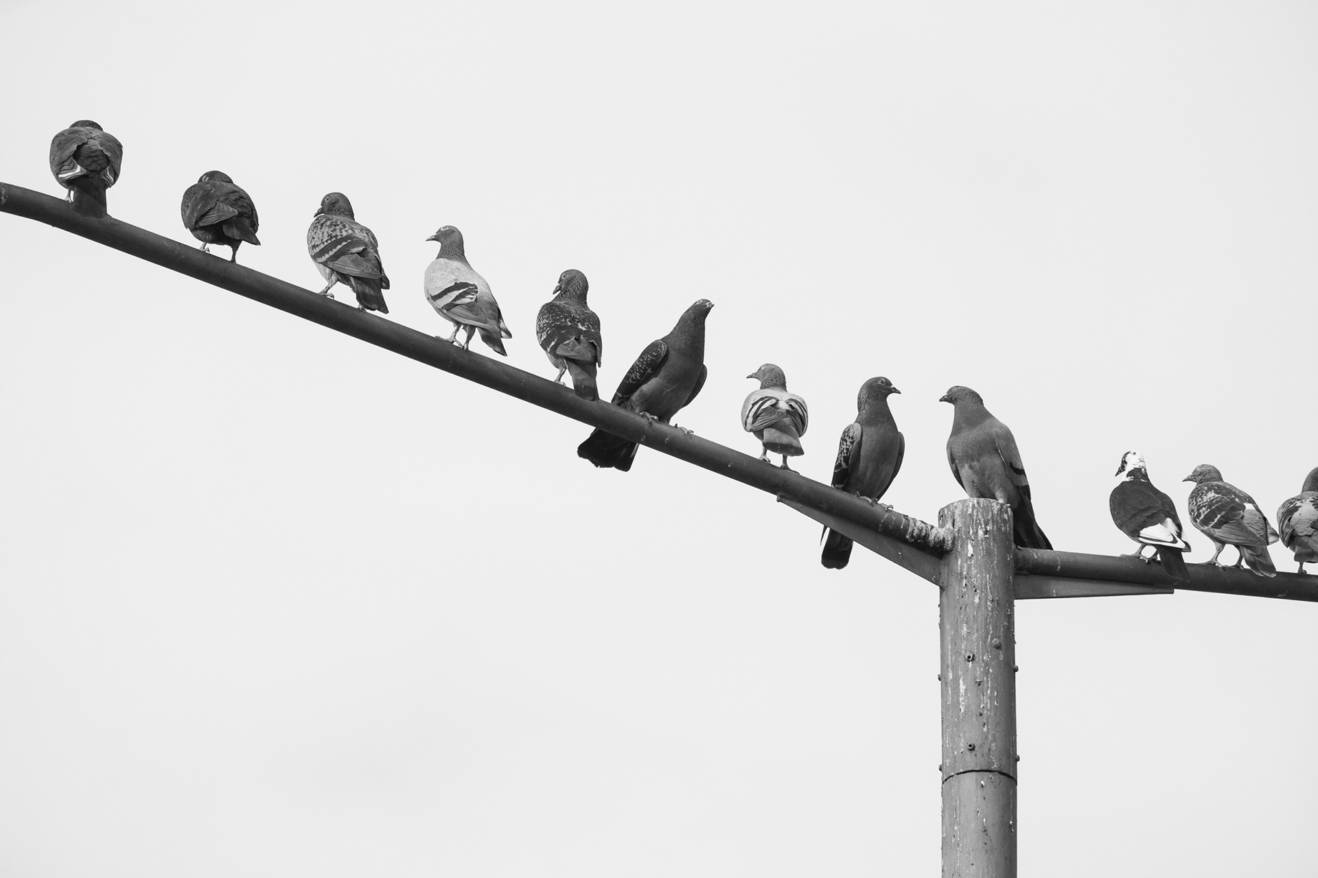 Geometry Points and Lines Photography in Hong Kong 18
