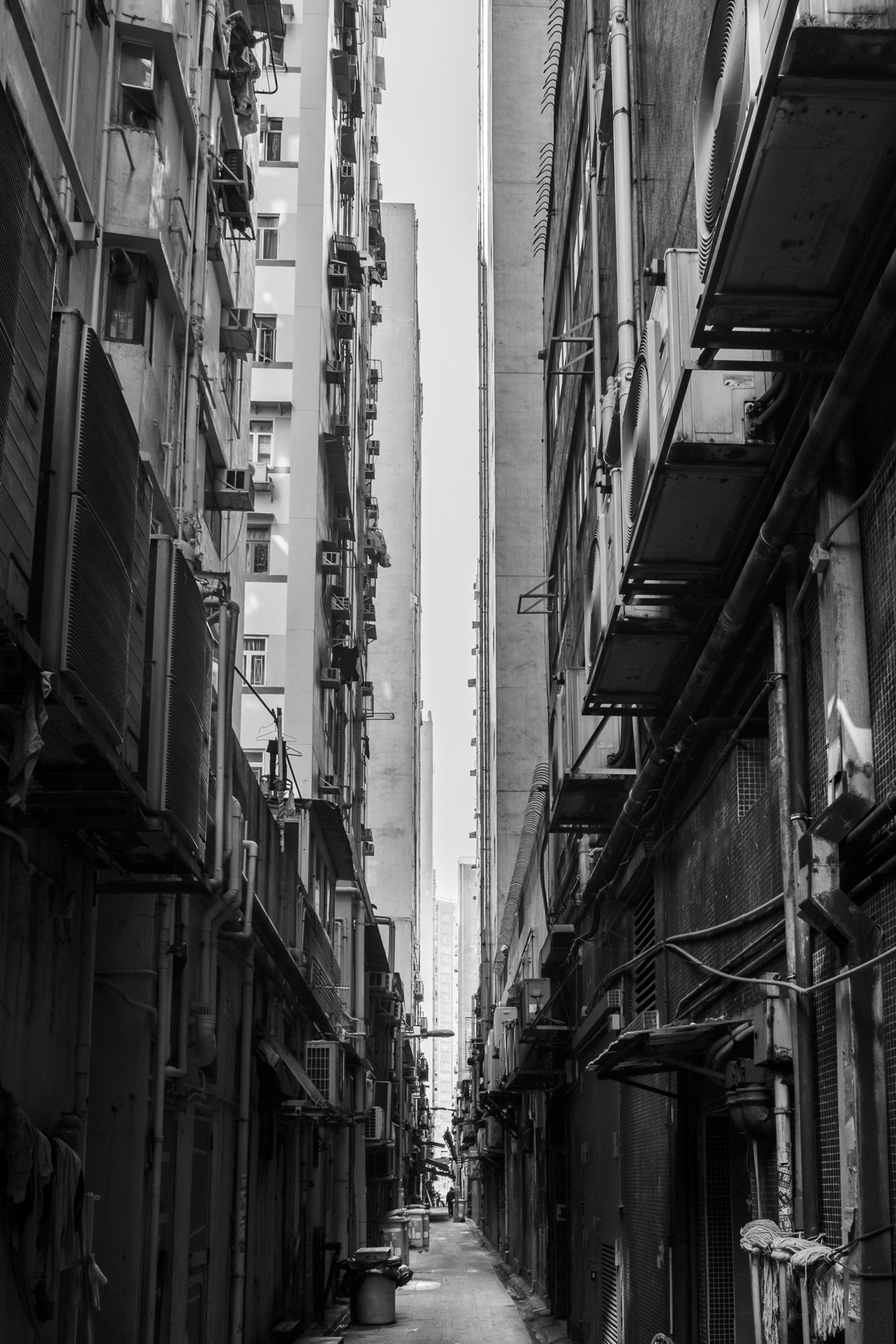 Hong Kong Day Alley, Yau Ma Tei 2