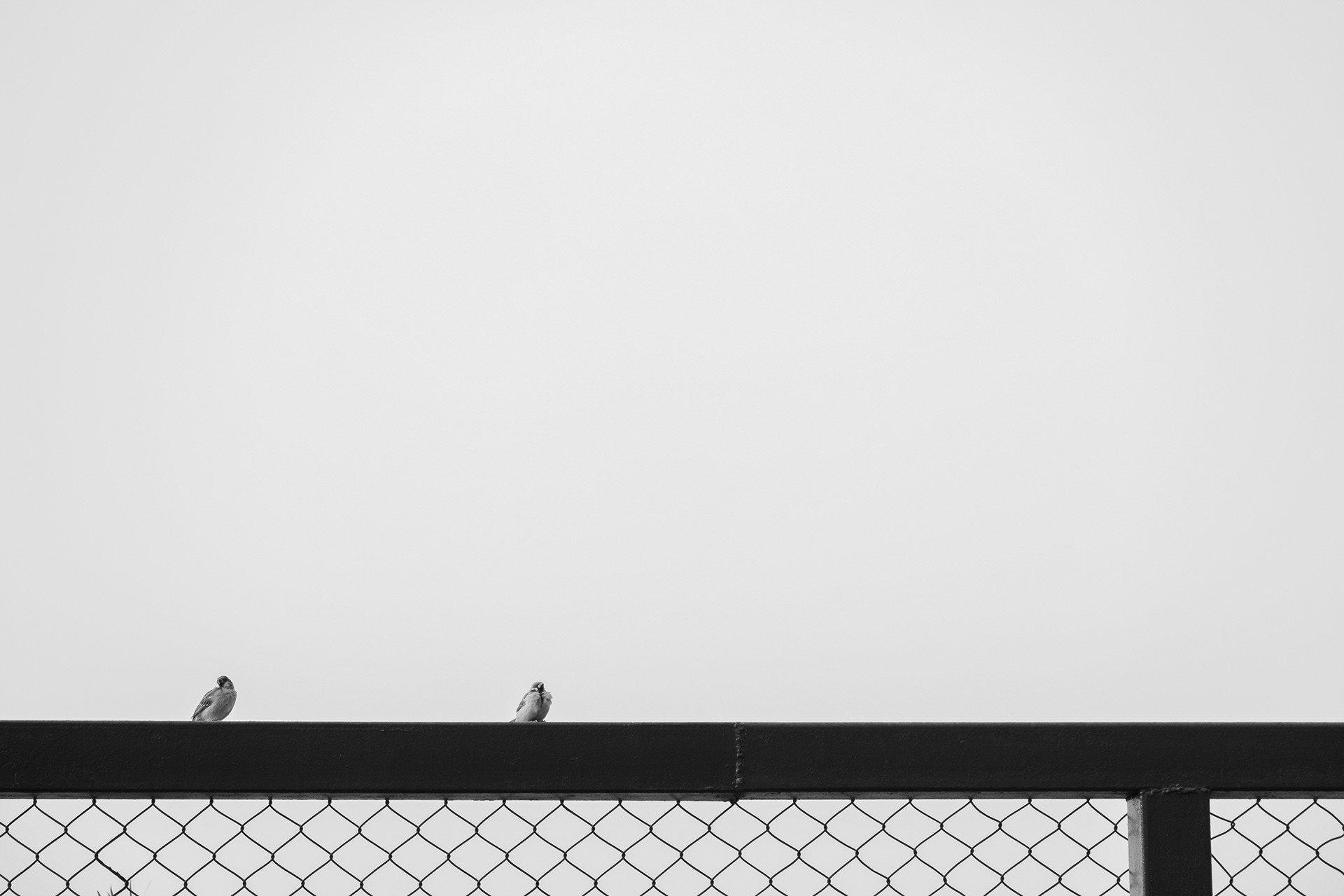 Geometry Points and Lines Photography in Hong Kong 2