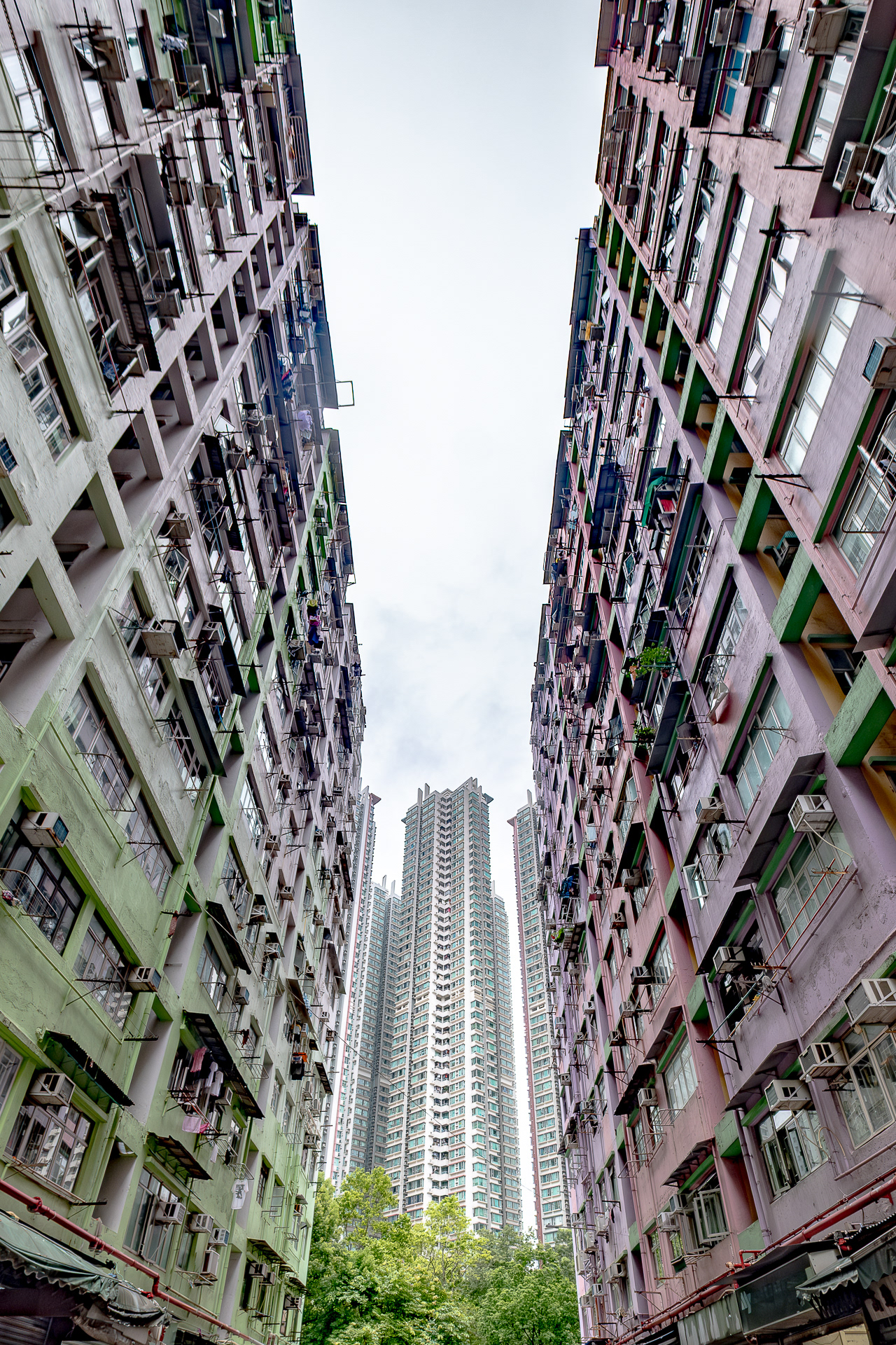 Hop Kwan Street Facades, Hong Kong typology 2