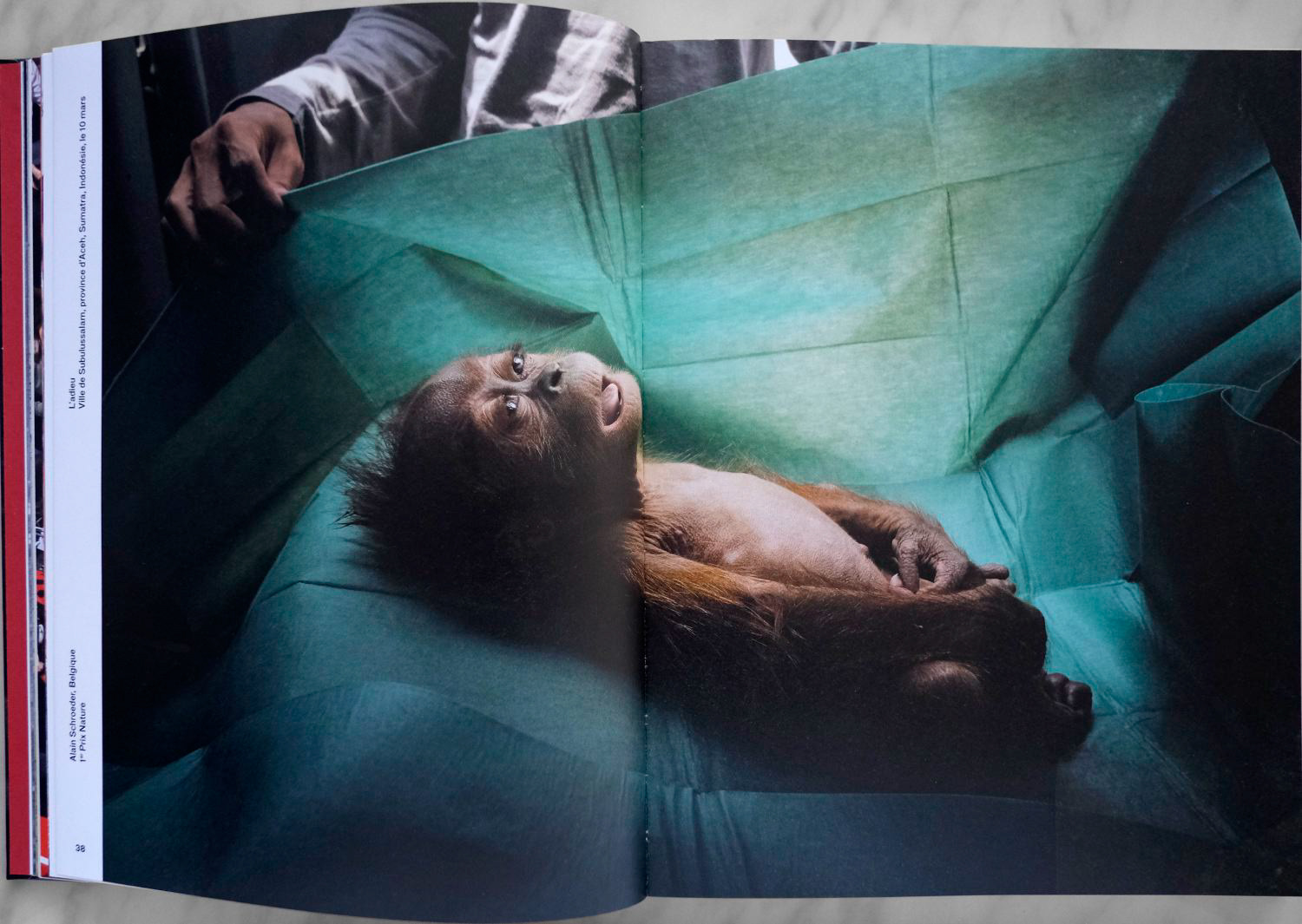 World Press Photo Book 2020