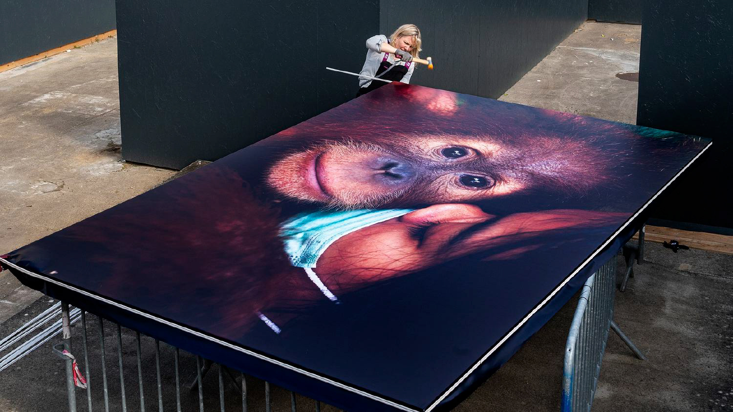 Montage du grand format - photo JM NIRON