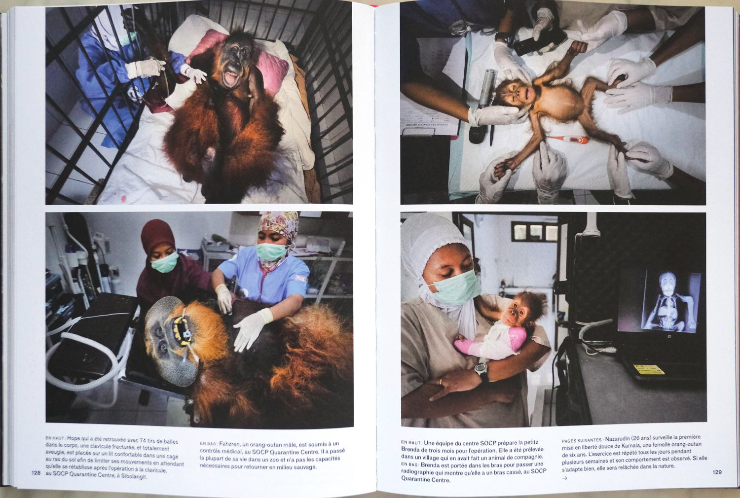 World Press Photo Book 2020
