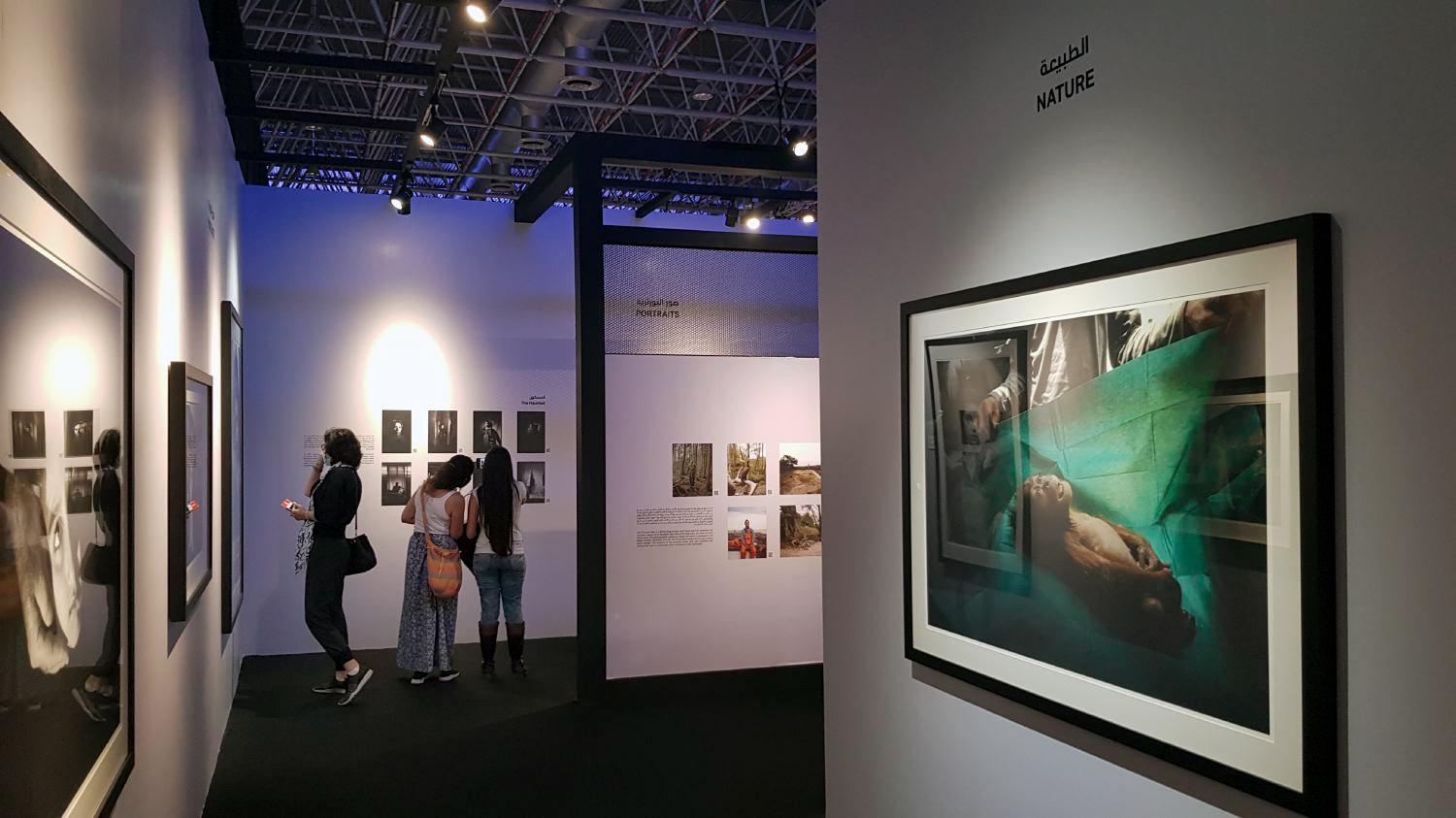 Saving Orangutans in the World Press exhibition