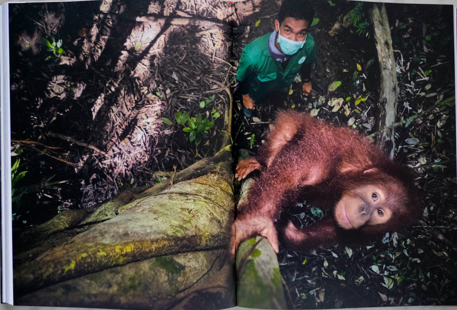World Press Photo Book 2020