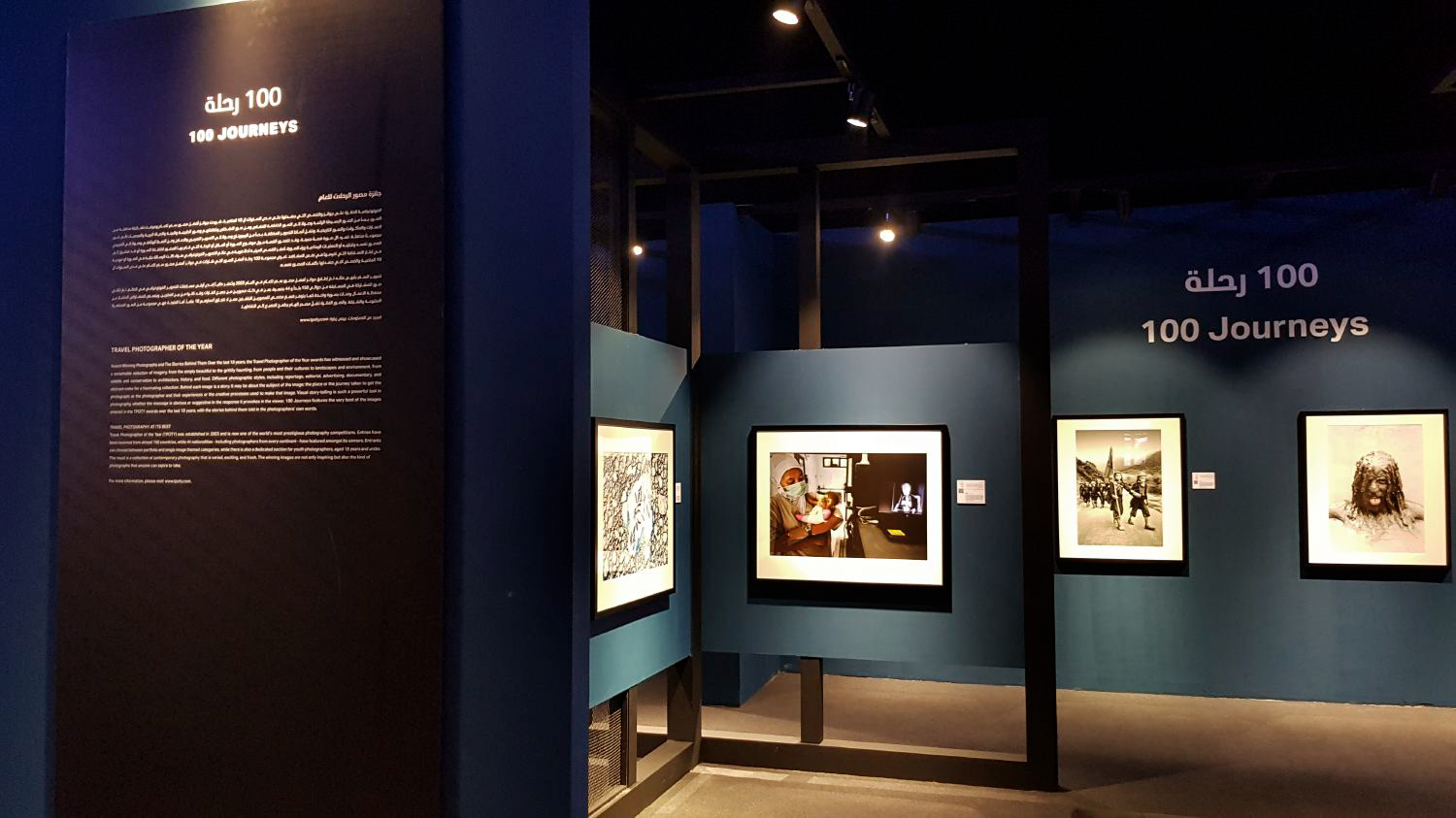 Saving Orangutans in the group exhibition 100 Journeys by TPOTY