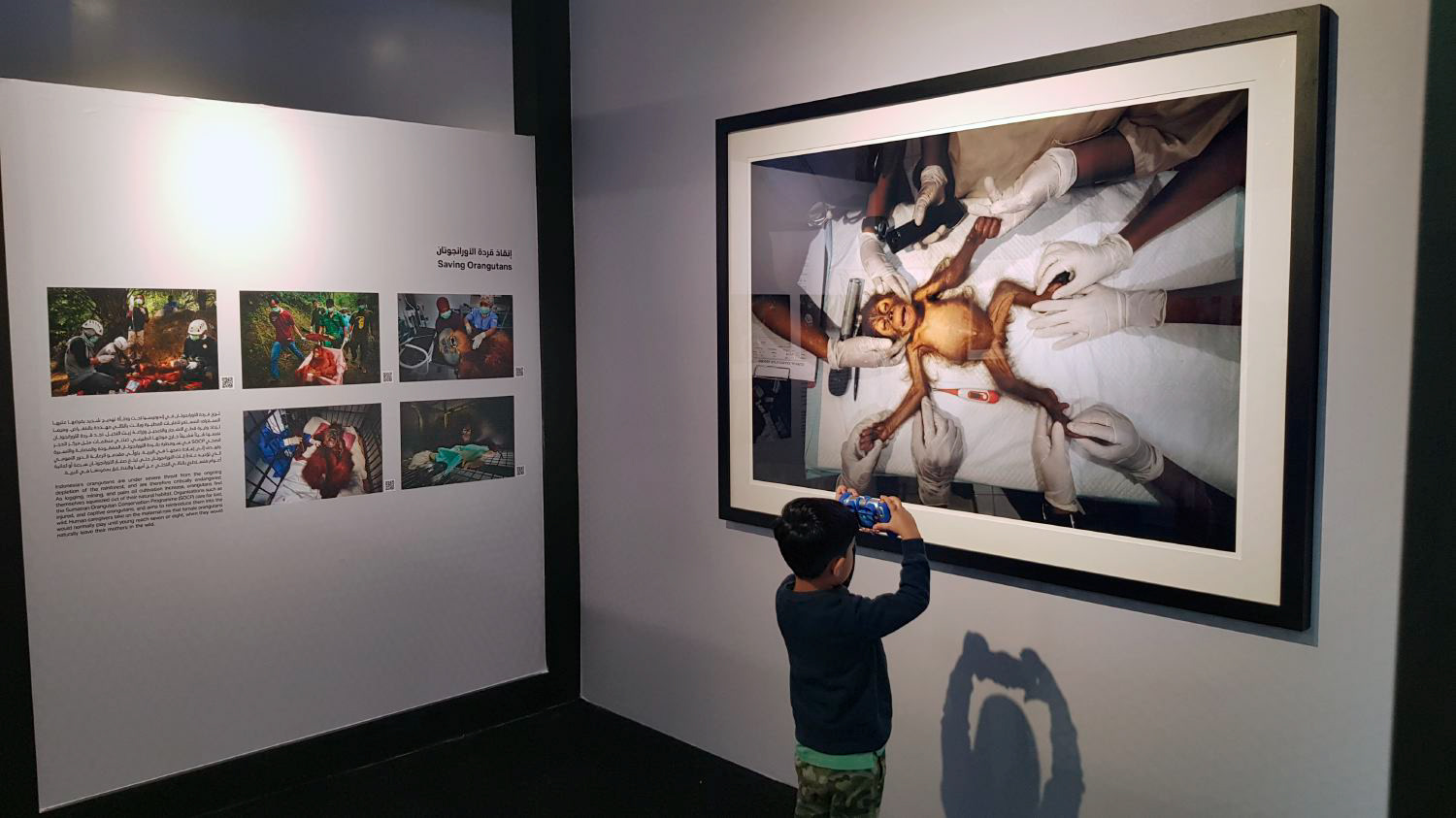 Saving Orangutans in the World Press exhibition