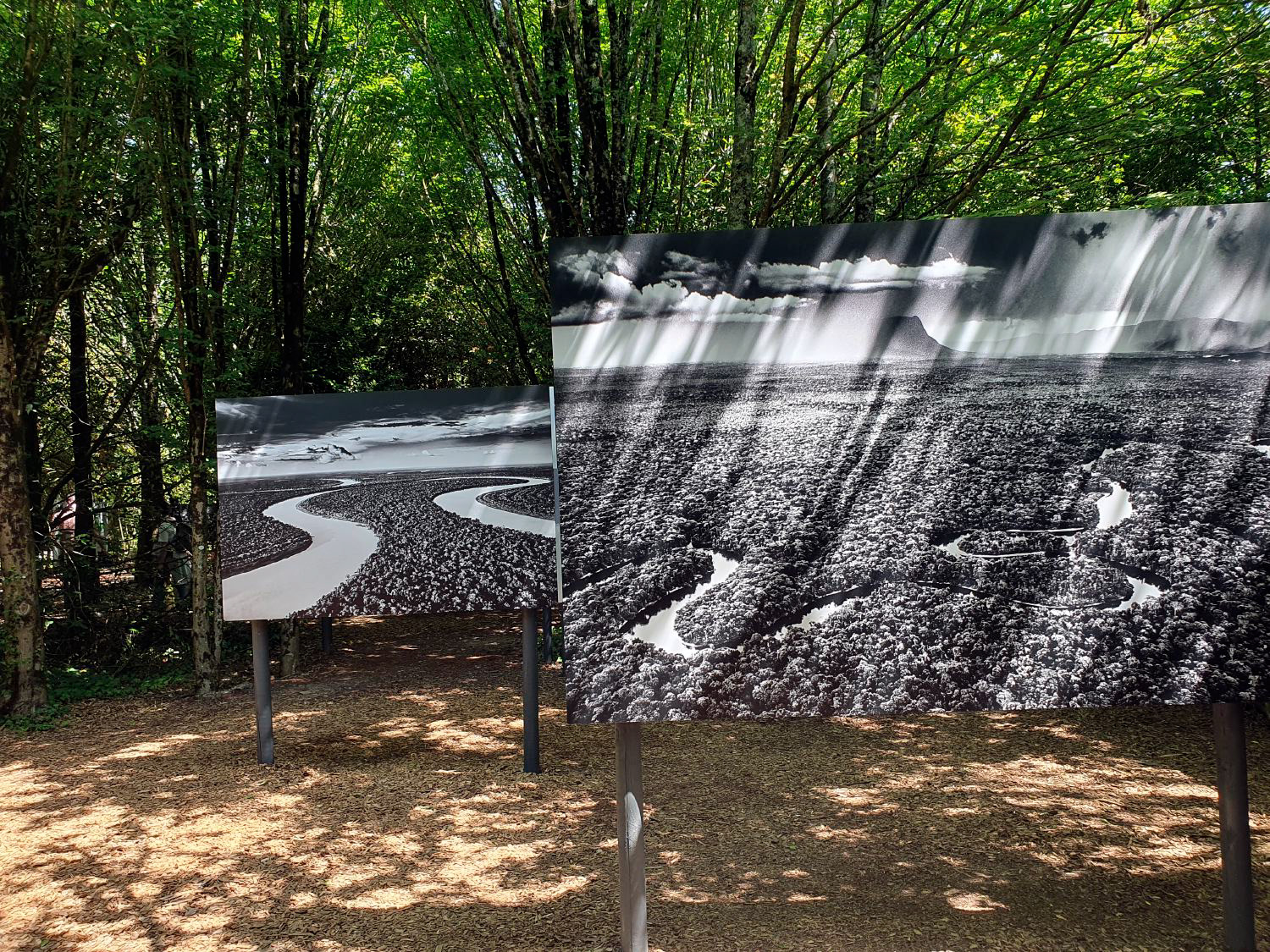 Expo de Sebastiao Salgado