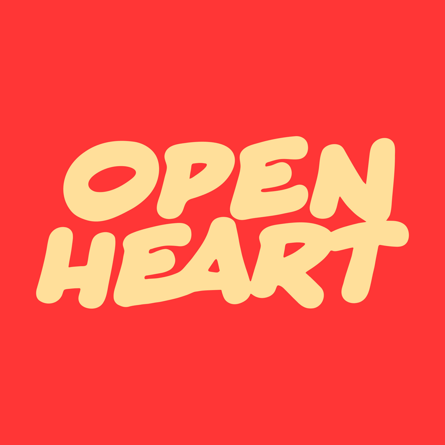 visual identity, webdesign for www.openheart.cz