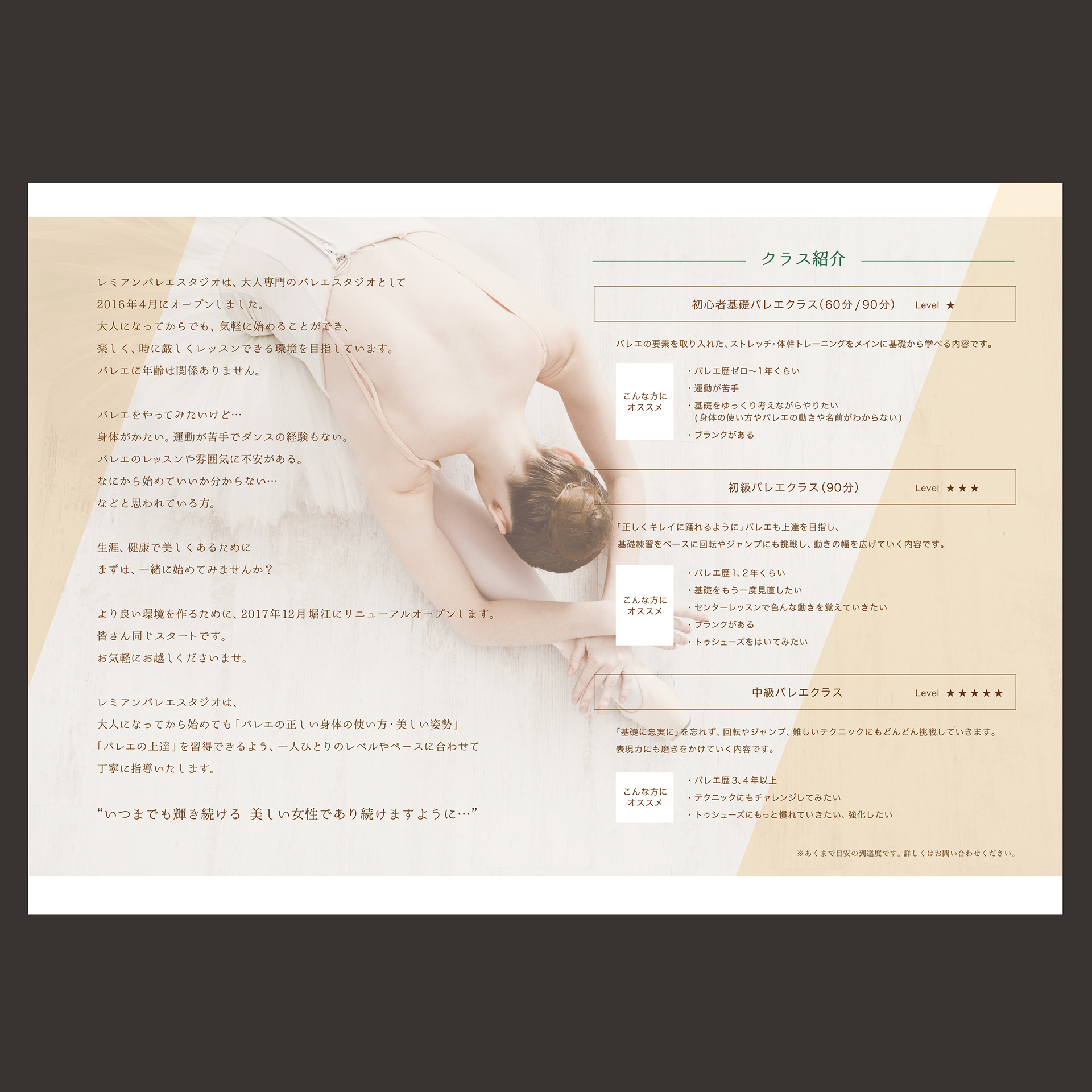 レミアンバレエスタジオ パンフレット
