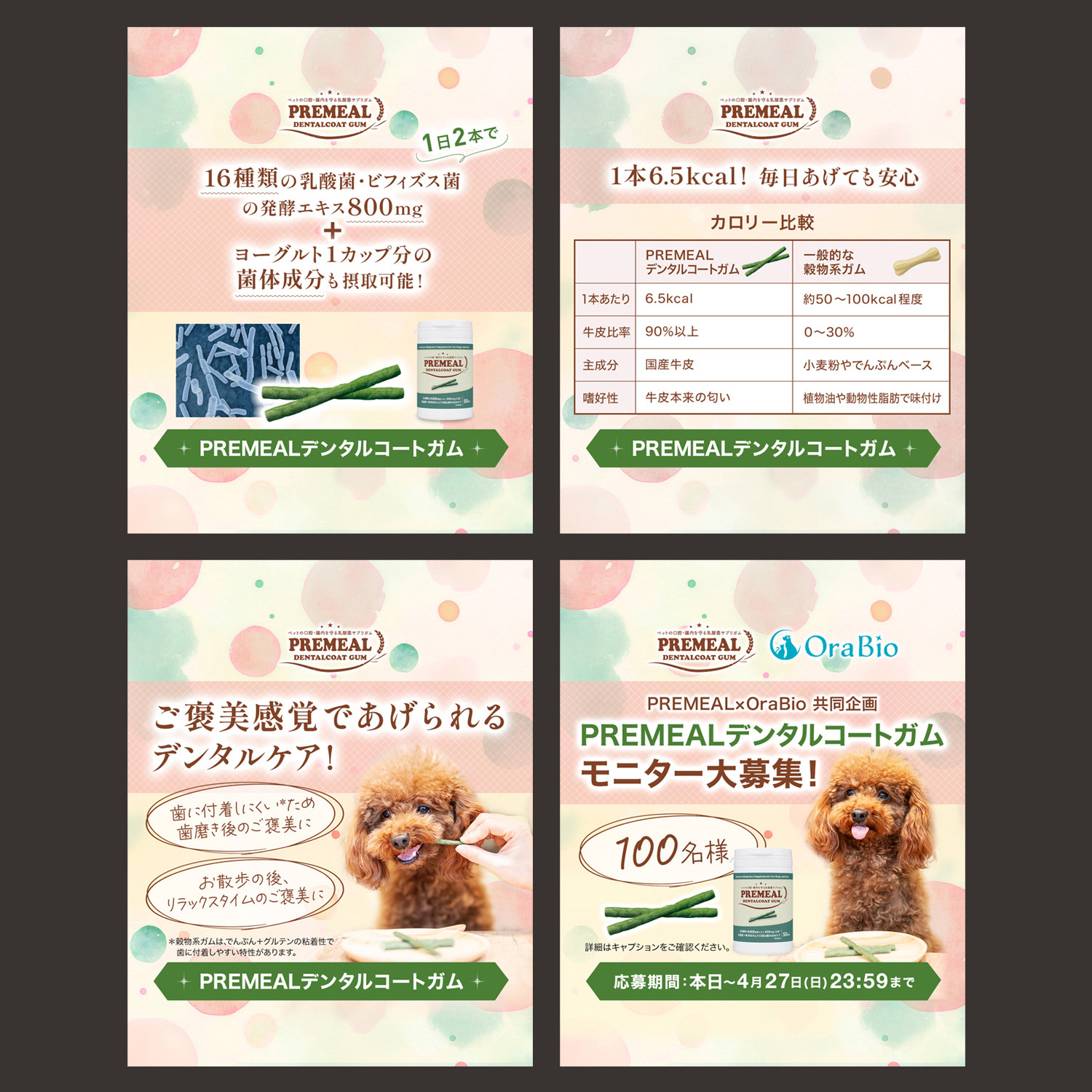 PREMEAL Dental Coat Gum New Releases