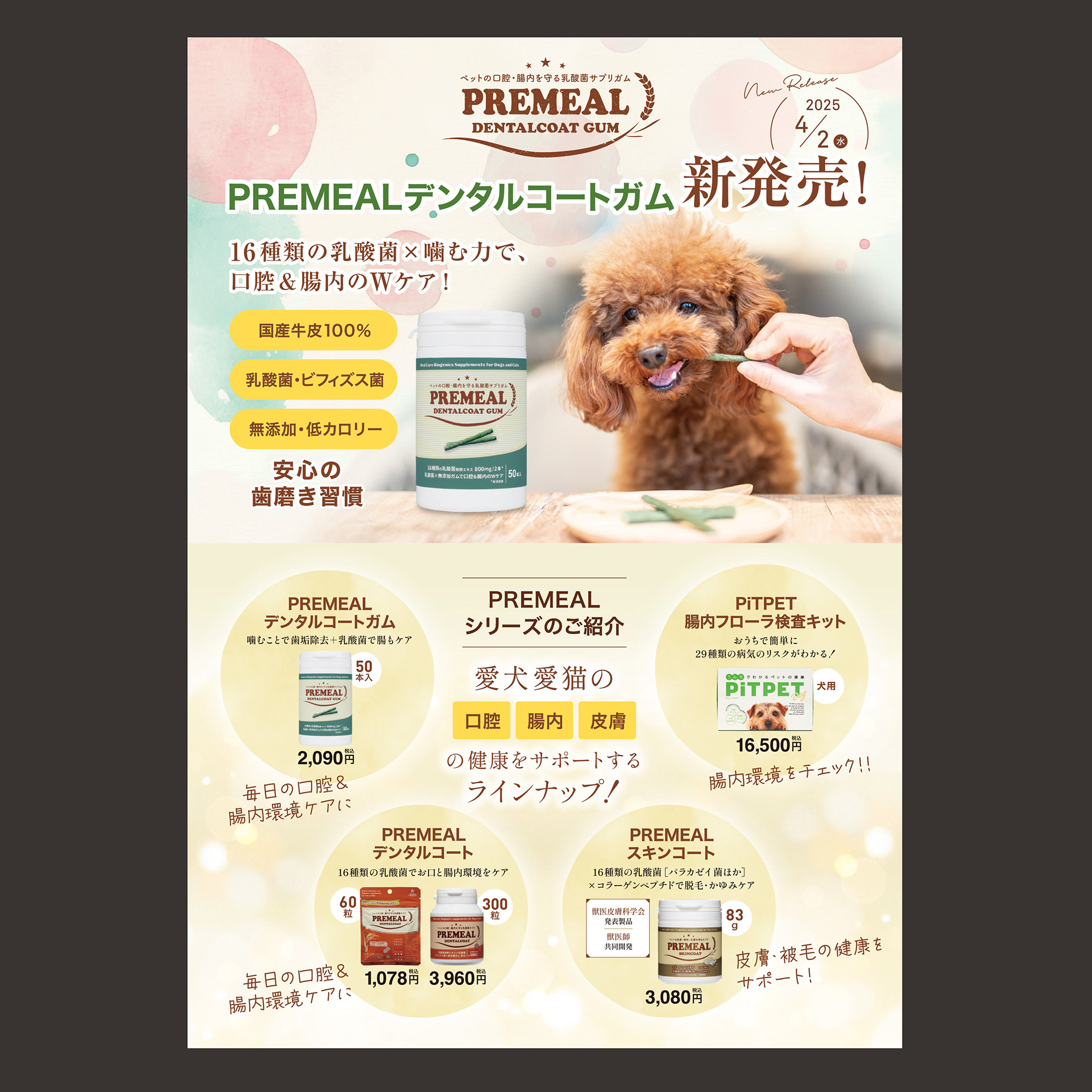 PREMEAL Dental Coat Gum New Releases