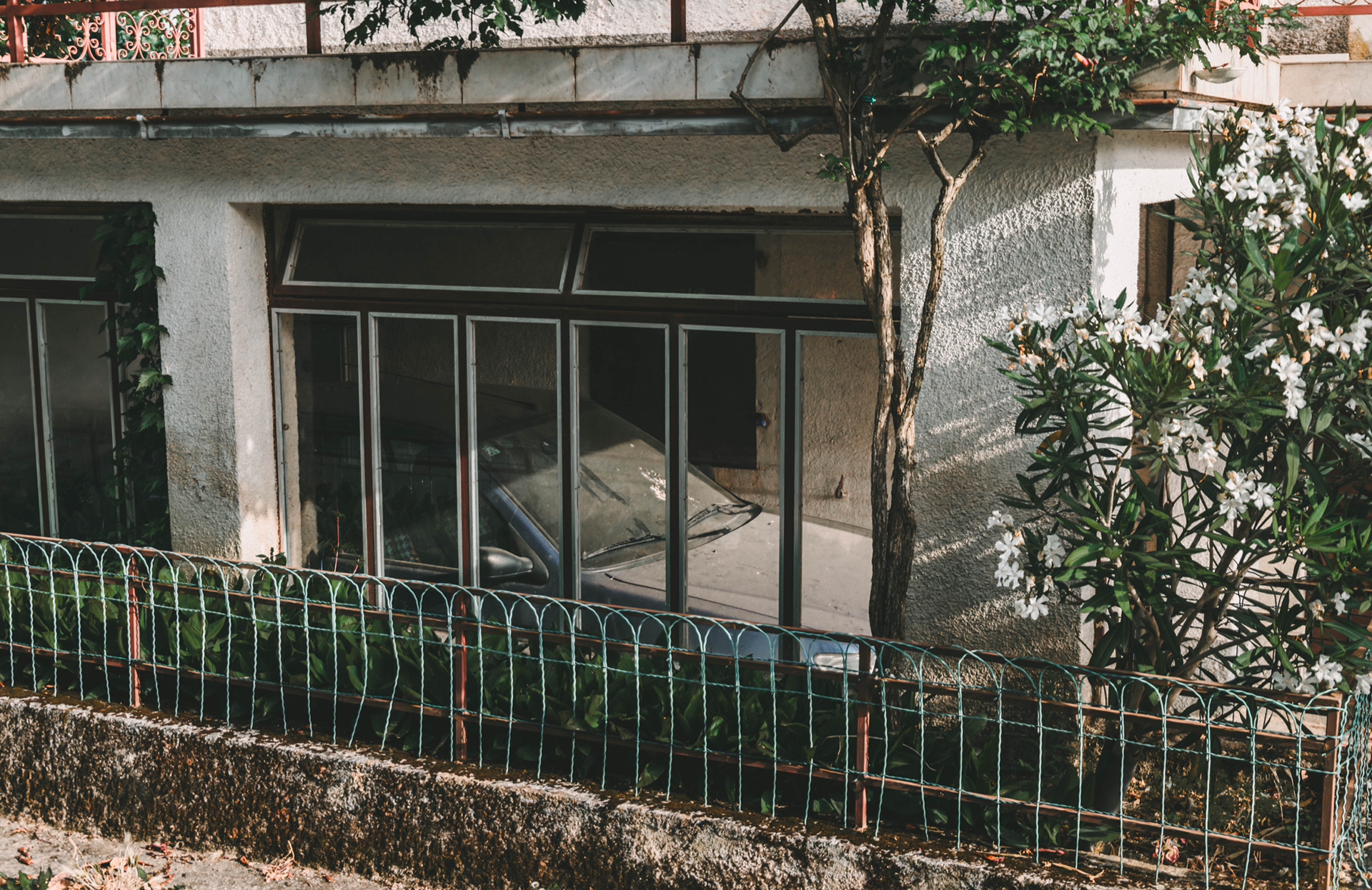 Exterior of an old concrete home in the Croatian mountains, with ivy-covered walls, metal window frames, and a soft tangle of overgrown greenery—captured in golden hour light.