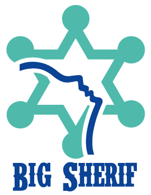 BigSherif, programme de surveillance du réseau informatique RATP