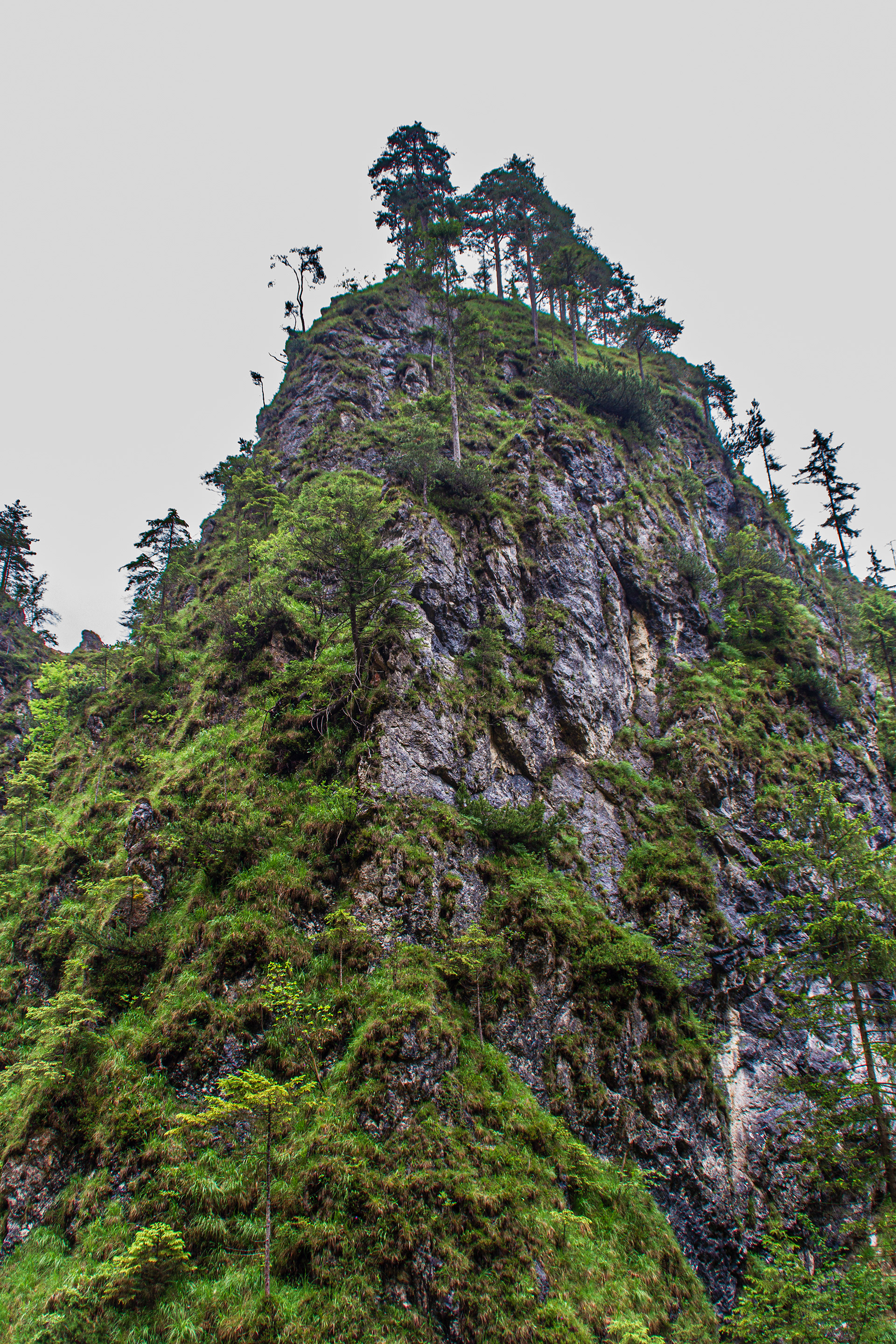 Almbachklamm