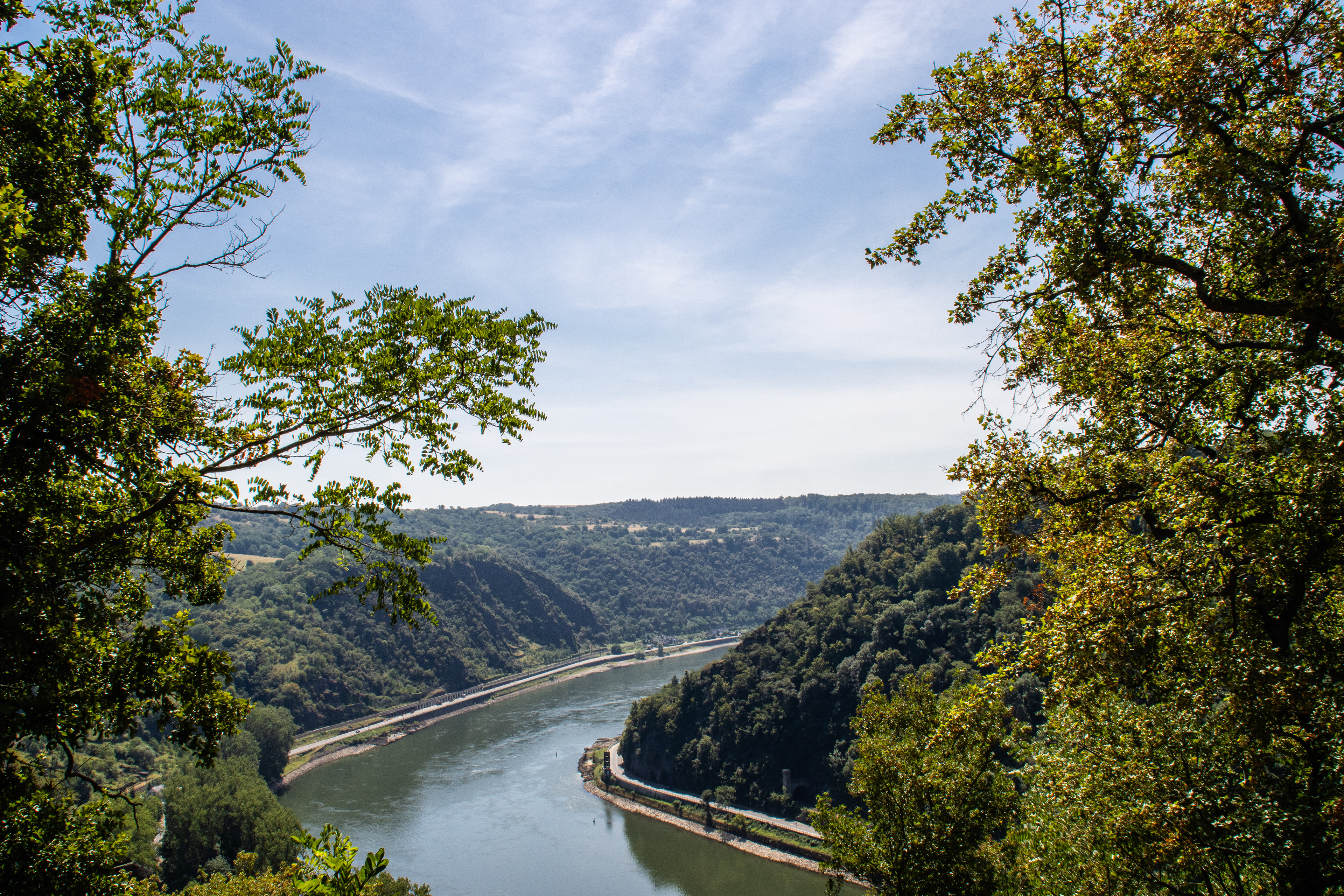 Bornich