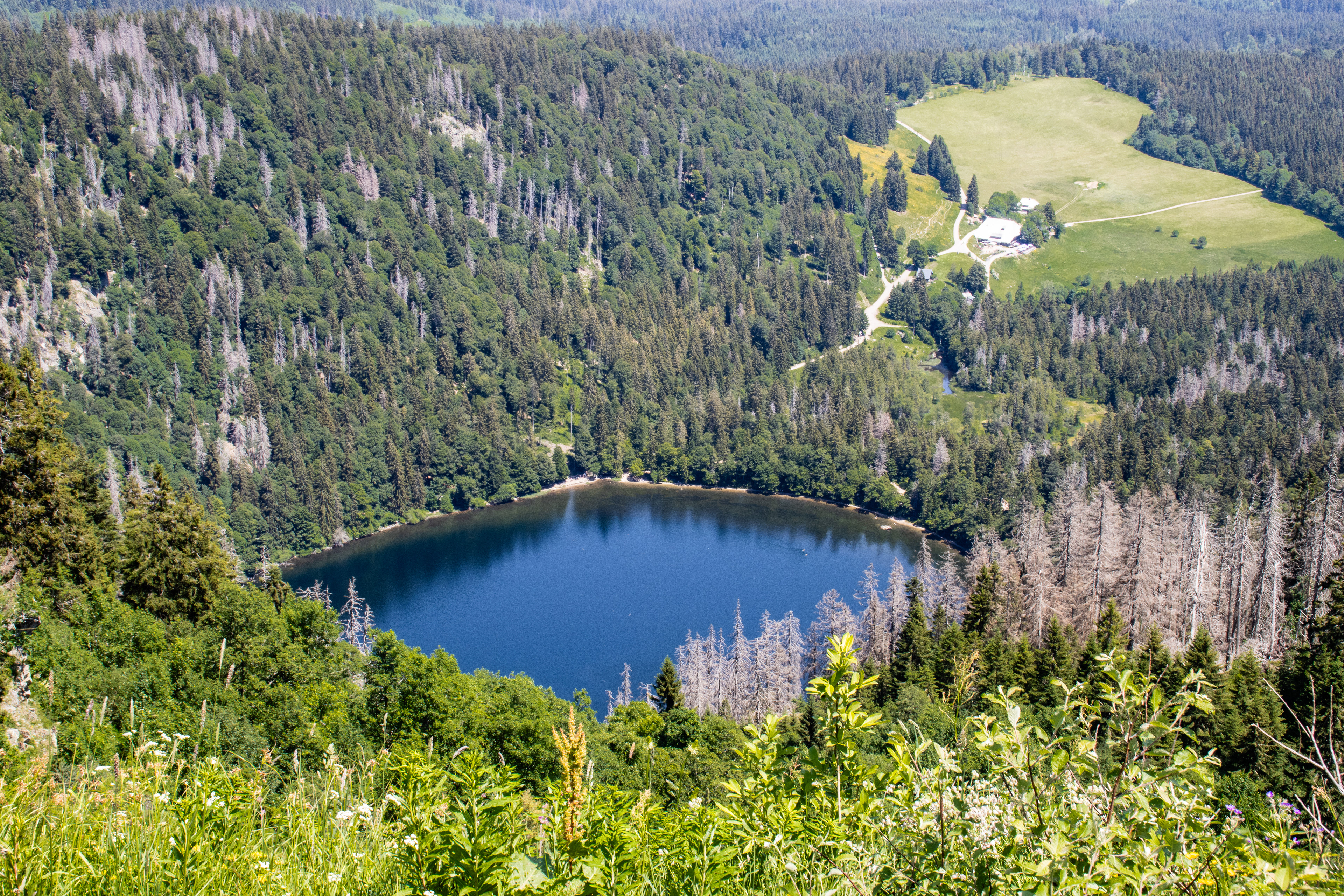 Feldberg
