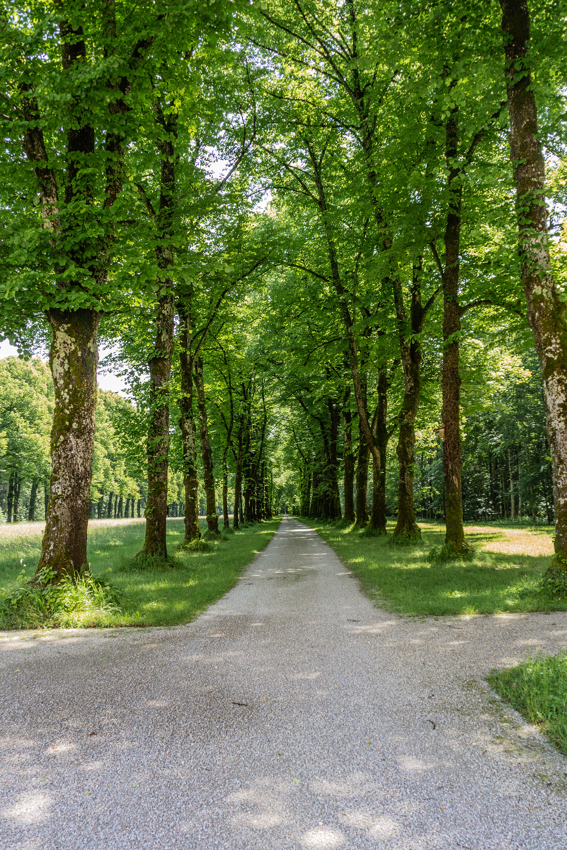 Slot Herrenchiemsee