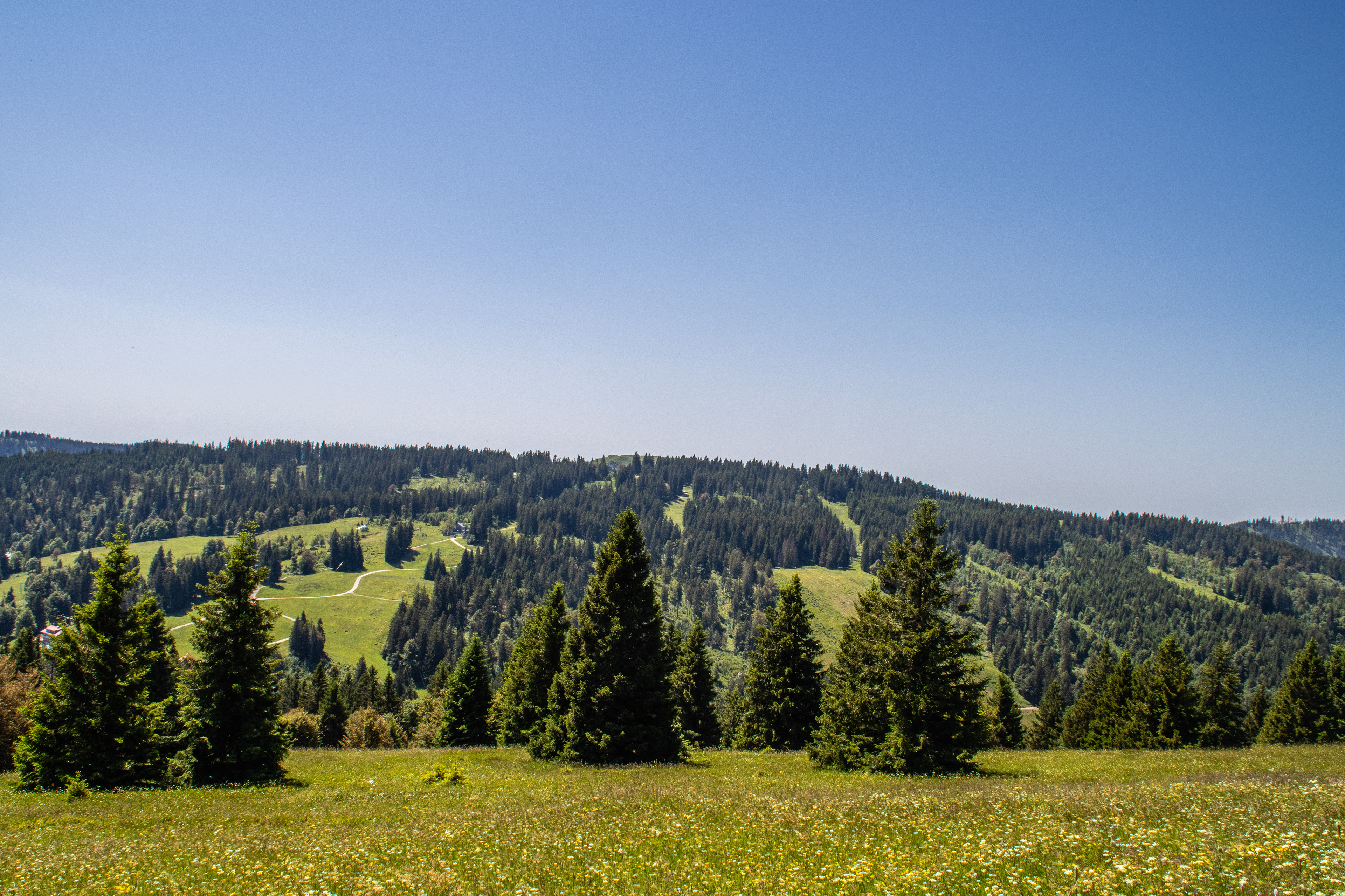 Feldberg