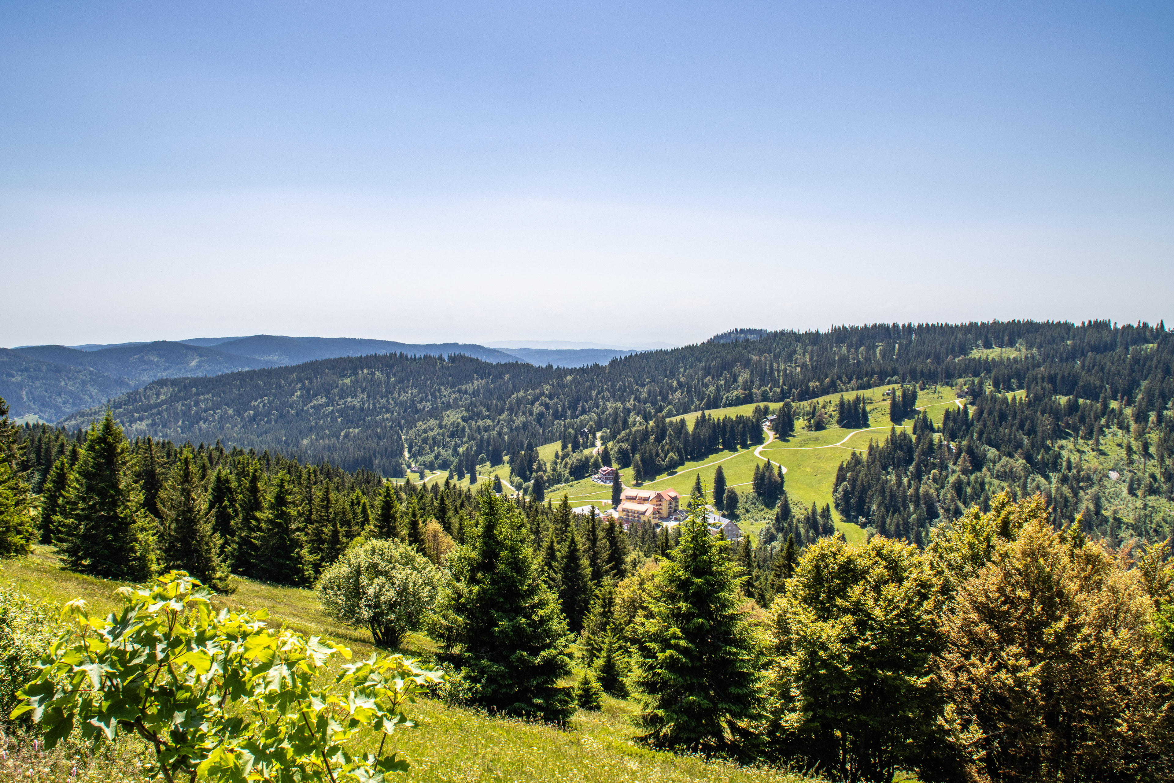 Feldberg