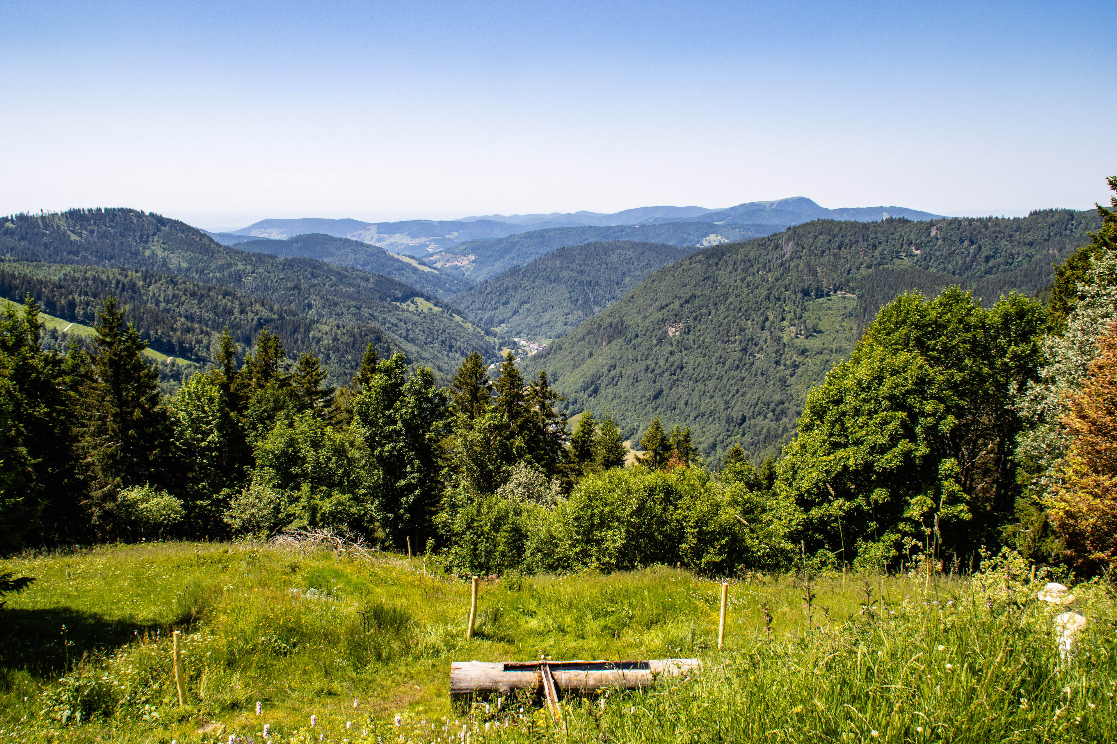 Feldberg