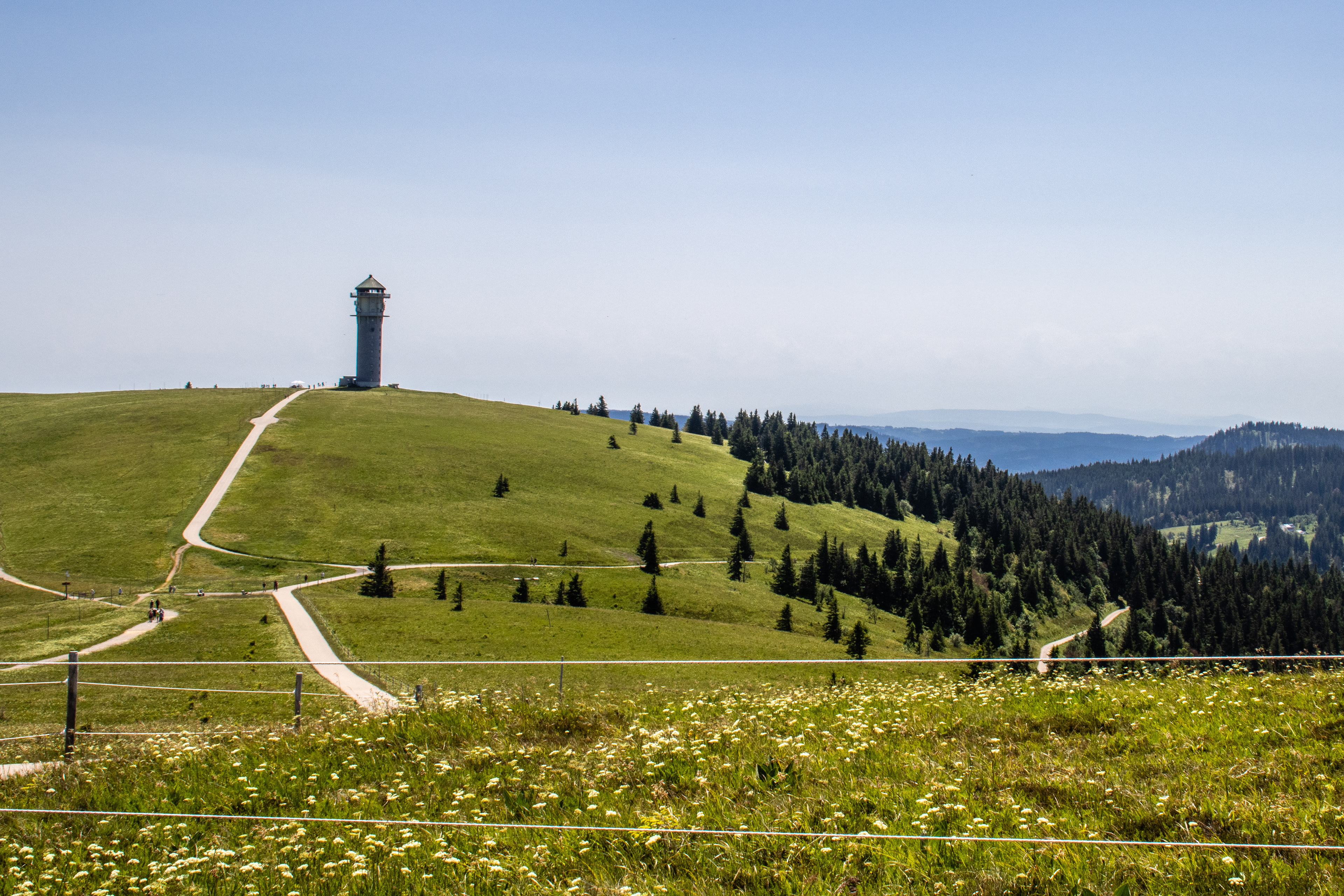 Feldberg