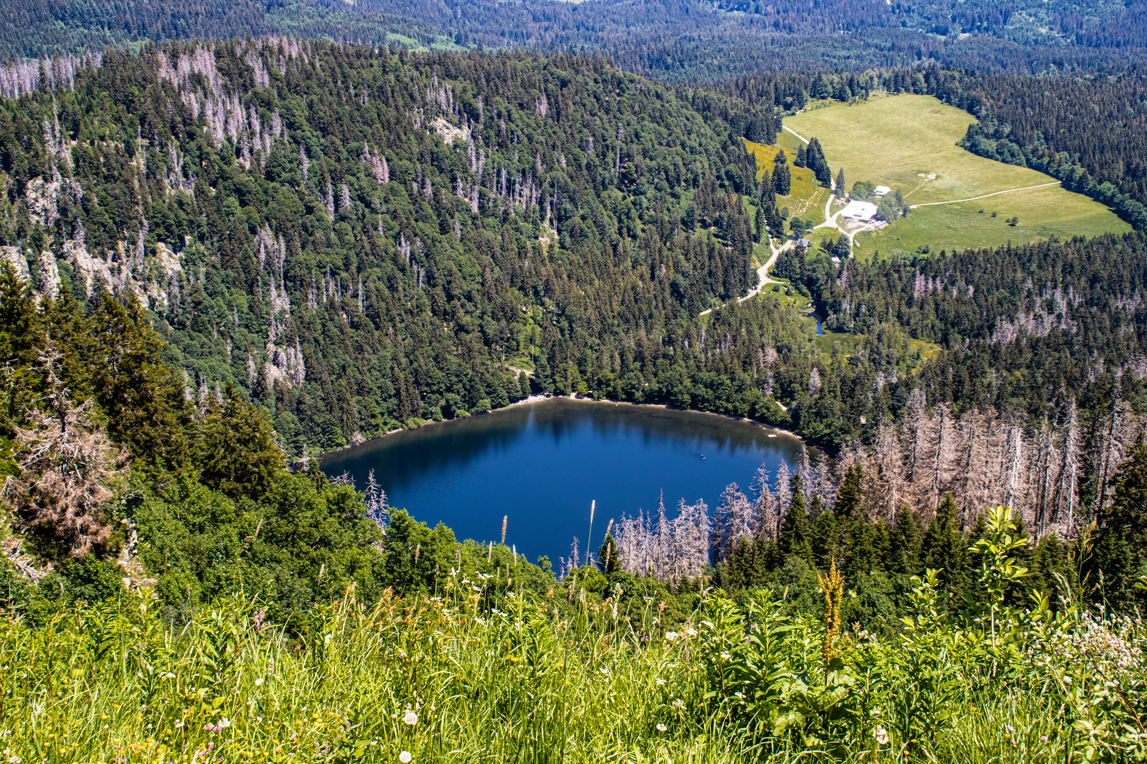 Feldberg