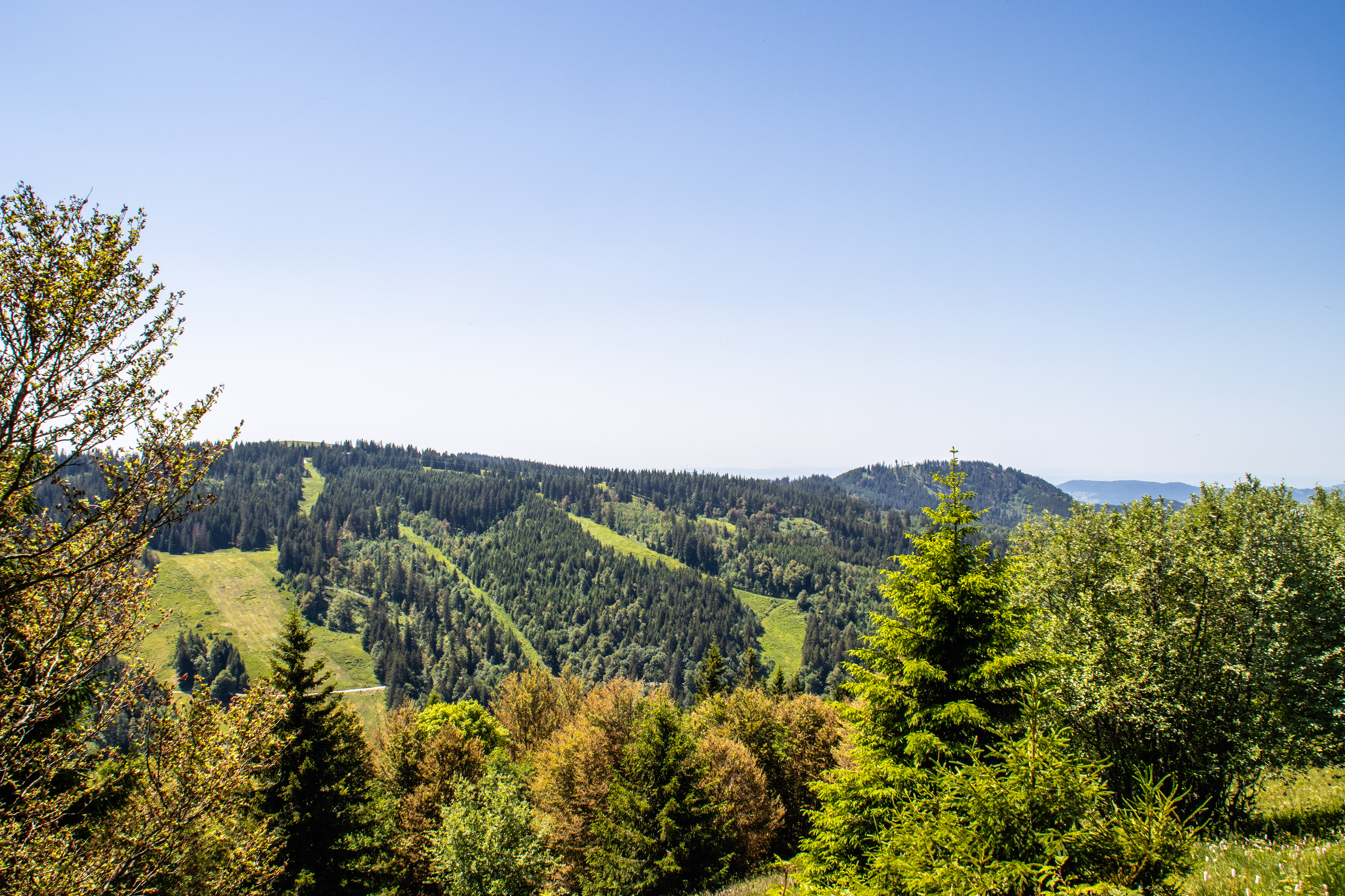 Feldberg