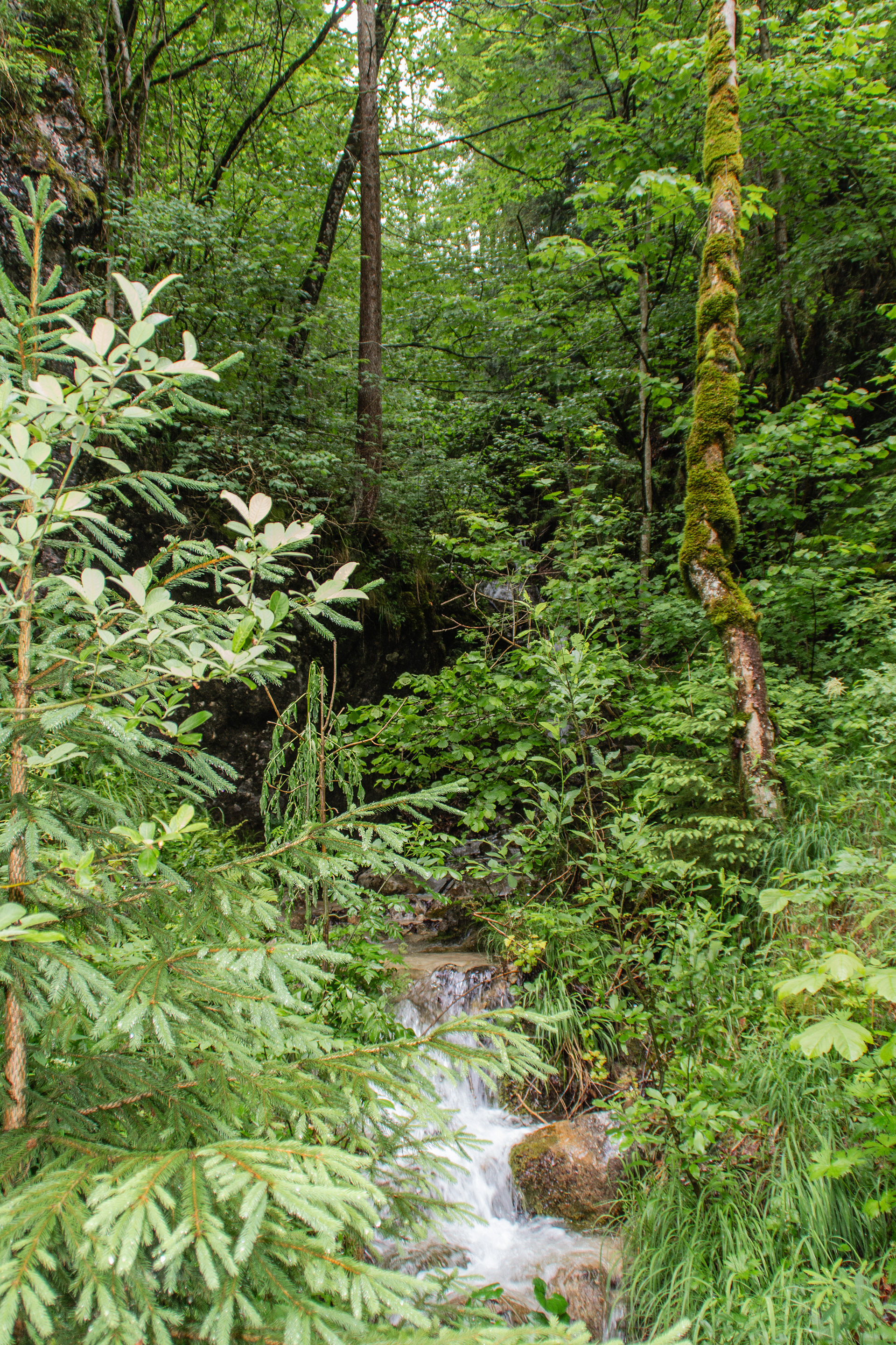 Almbachklamm