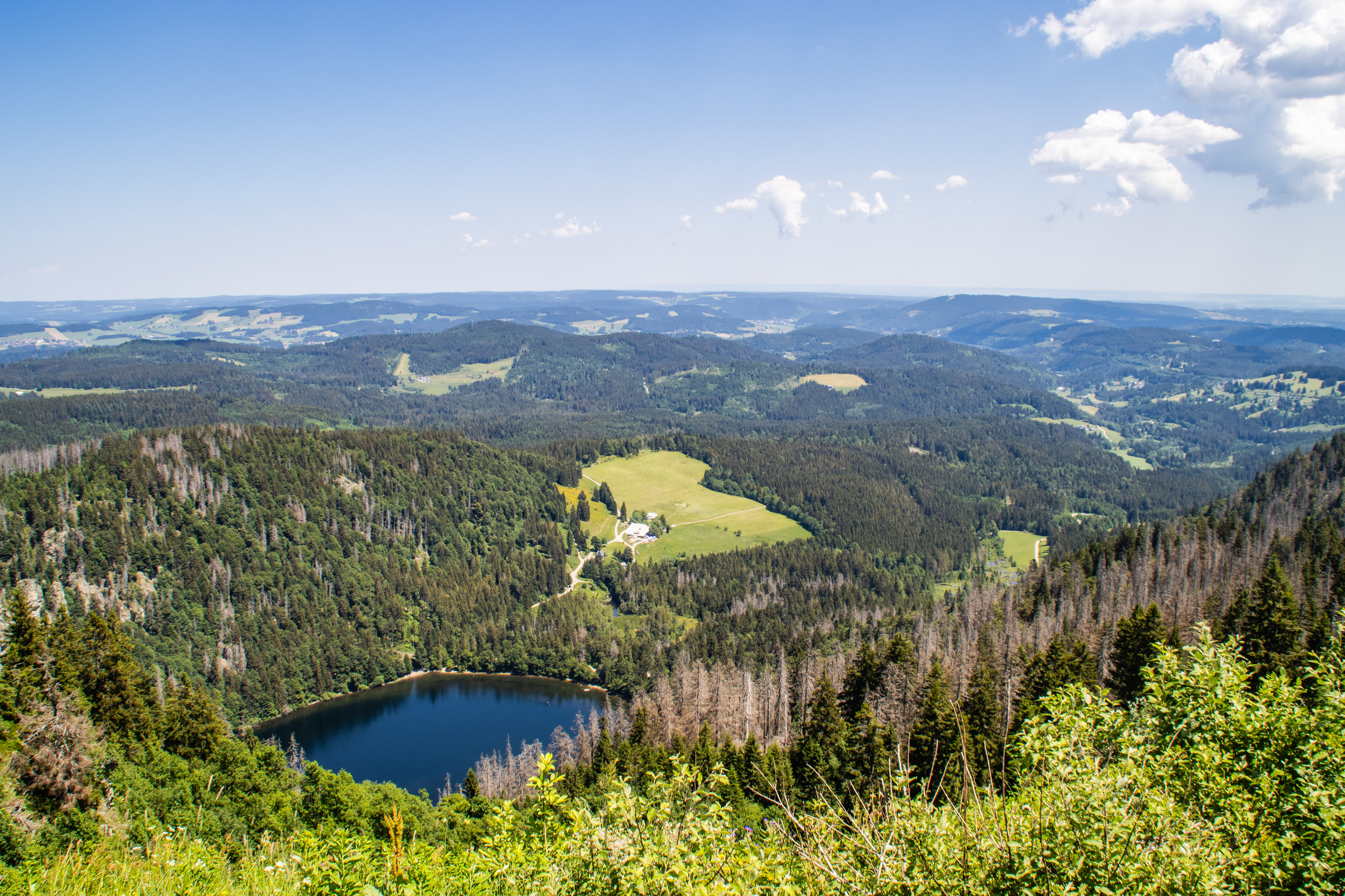 Feldberg