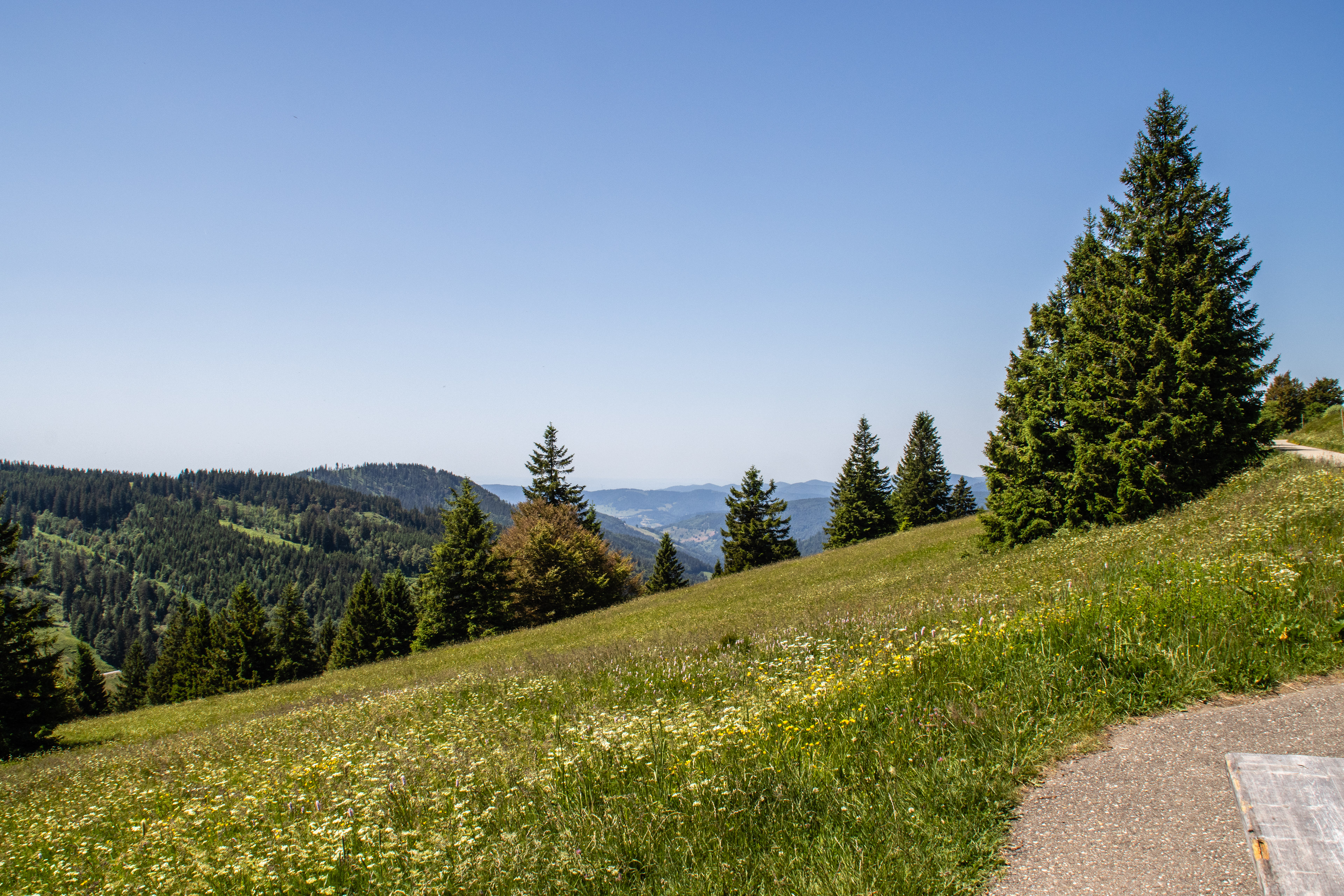 Feldberg