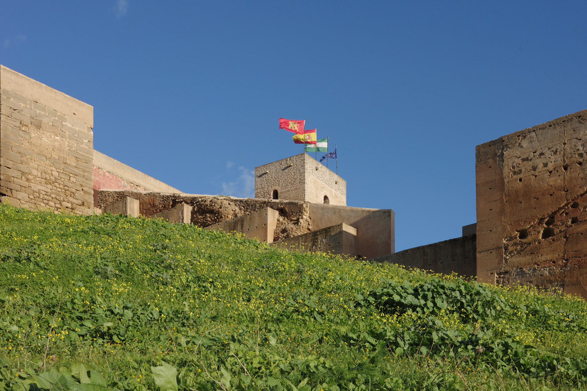 The Four Flags in The Wind