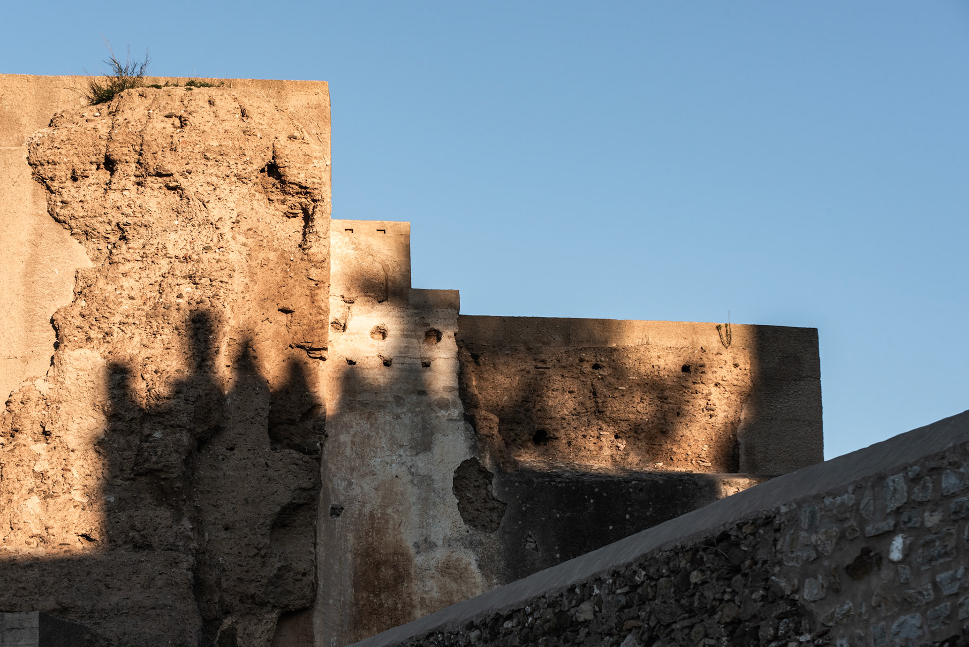 Morning Shadows