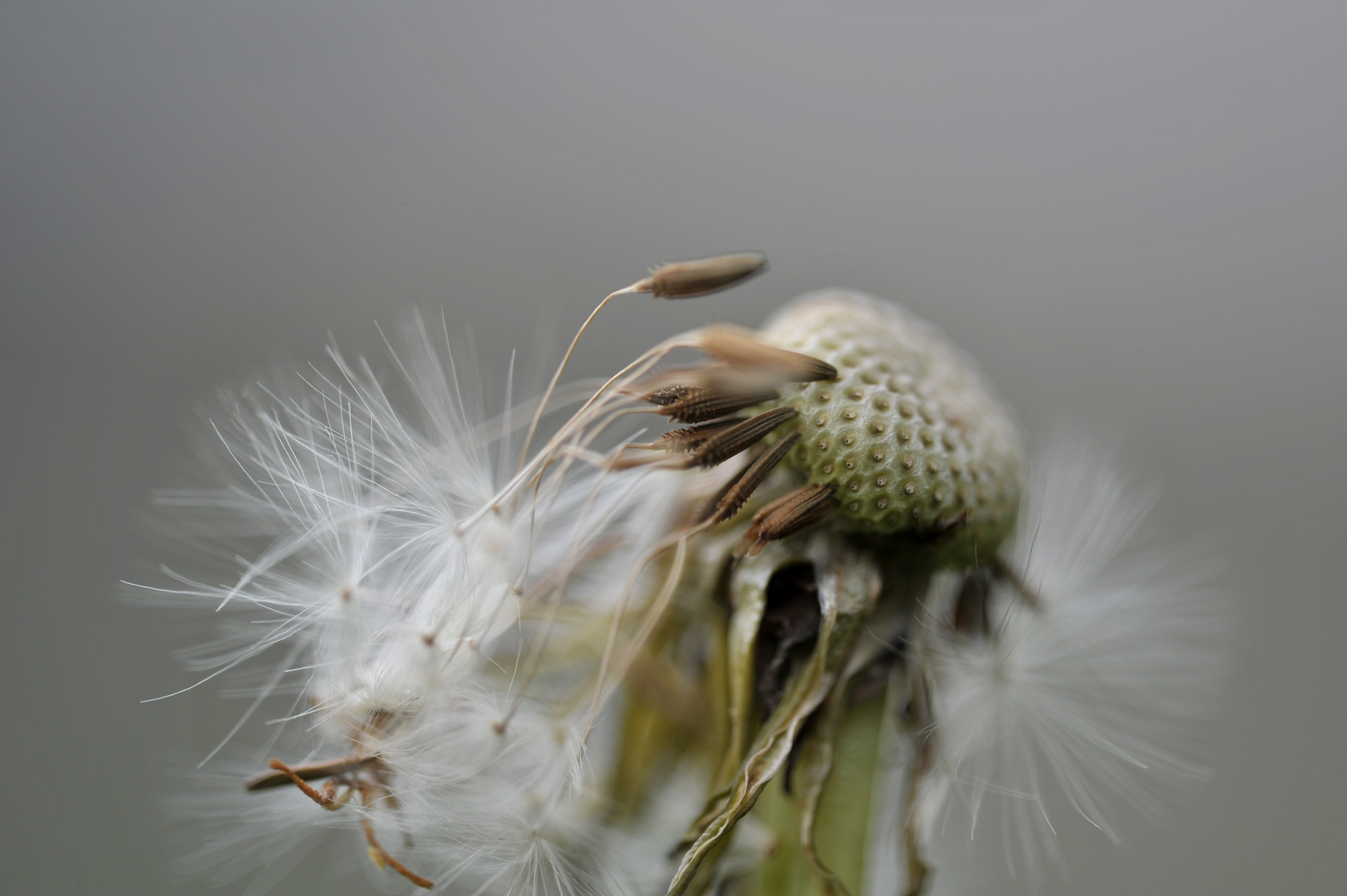 Mission Accomplished