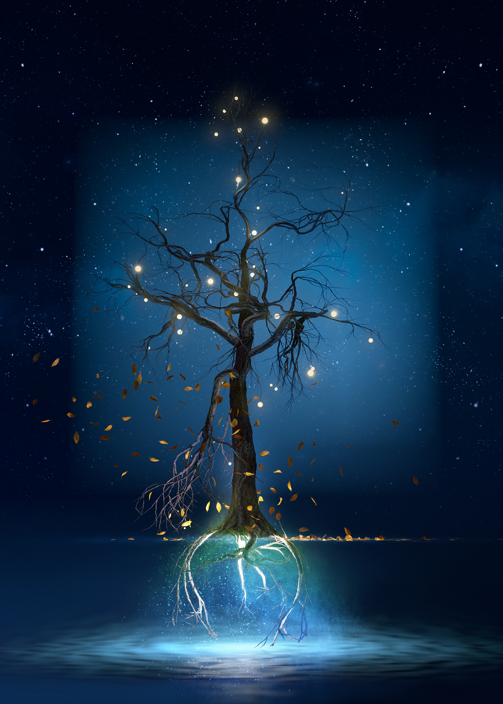 Radiance of the Night