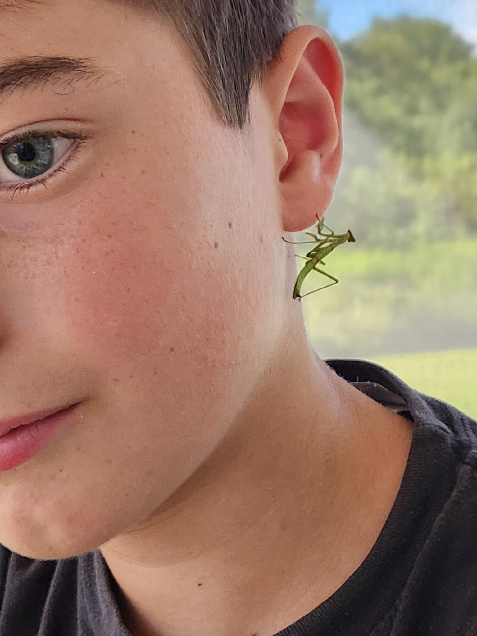Boy with a Praying Mantis Earring