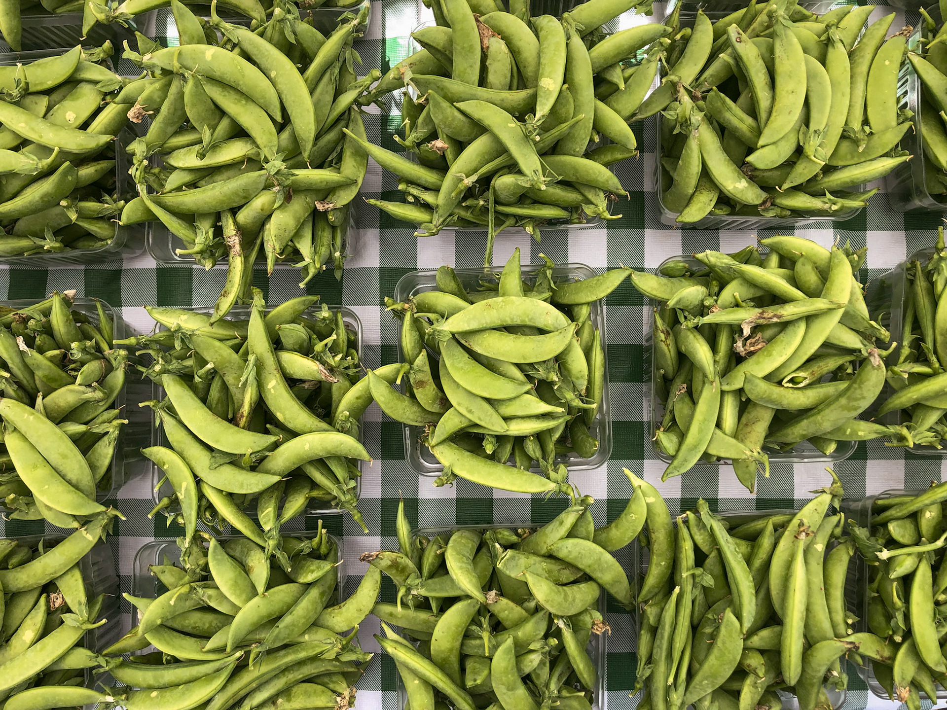 Sugar Snap Peas at the Hilliard Farmer's Market