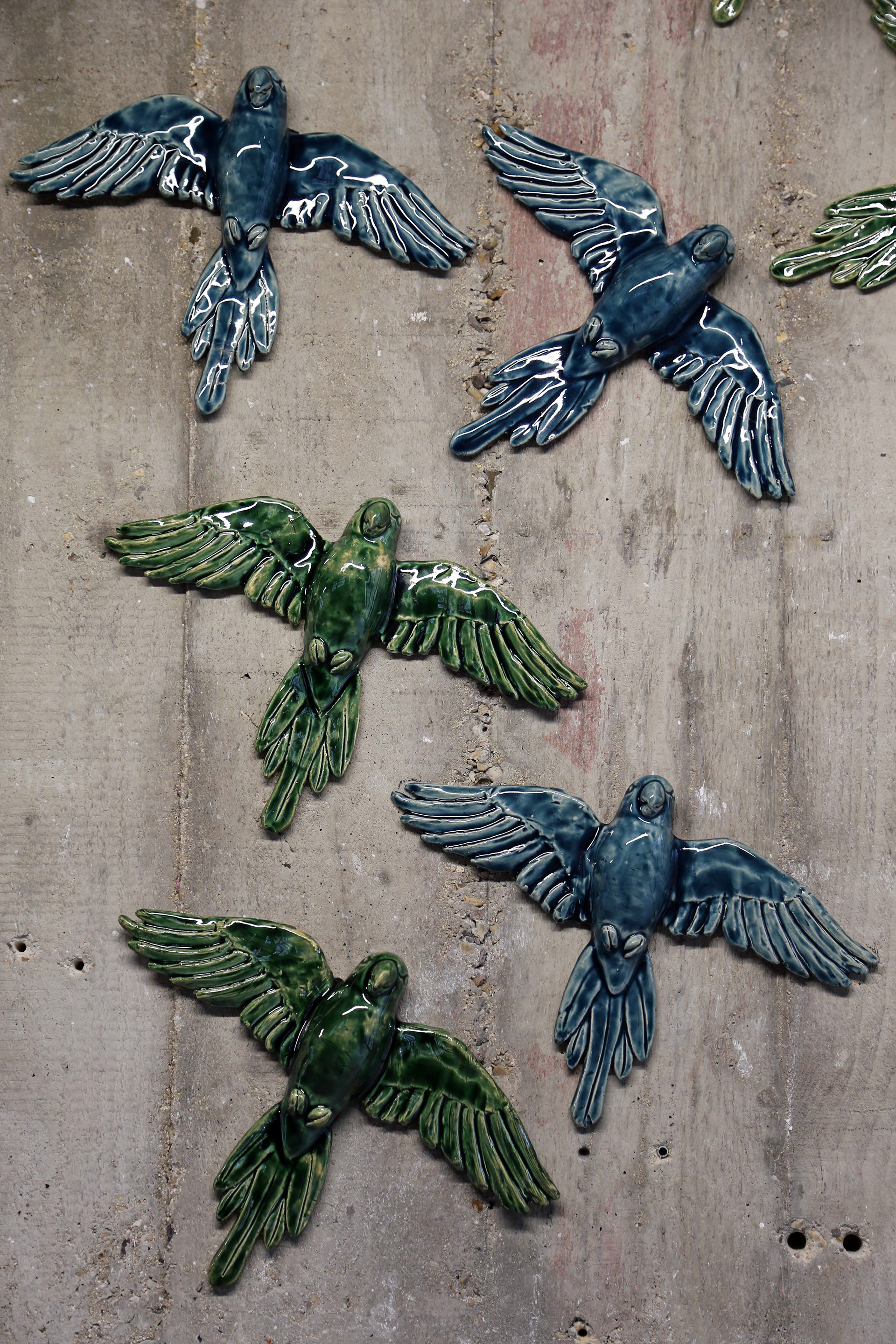 Gefieder - Plumage (2024)