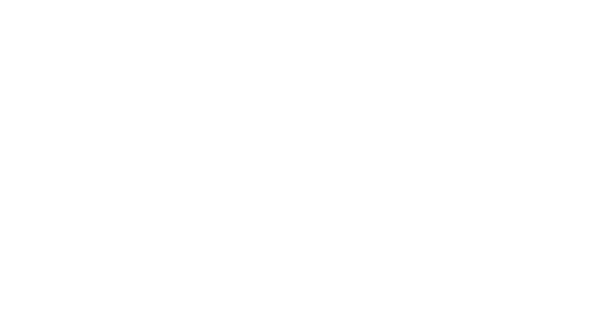 Ignacio Aranguiz Fariña