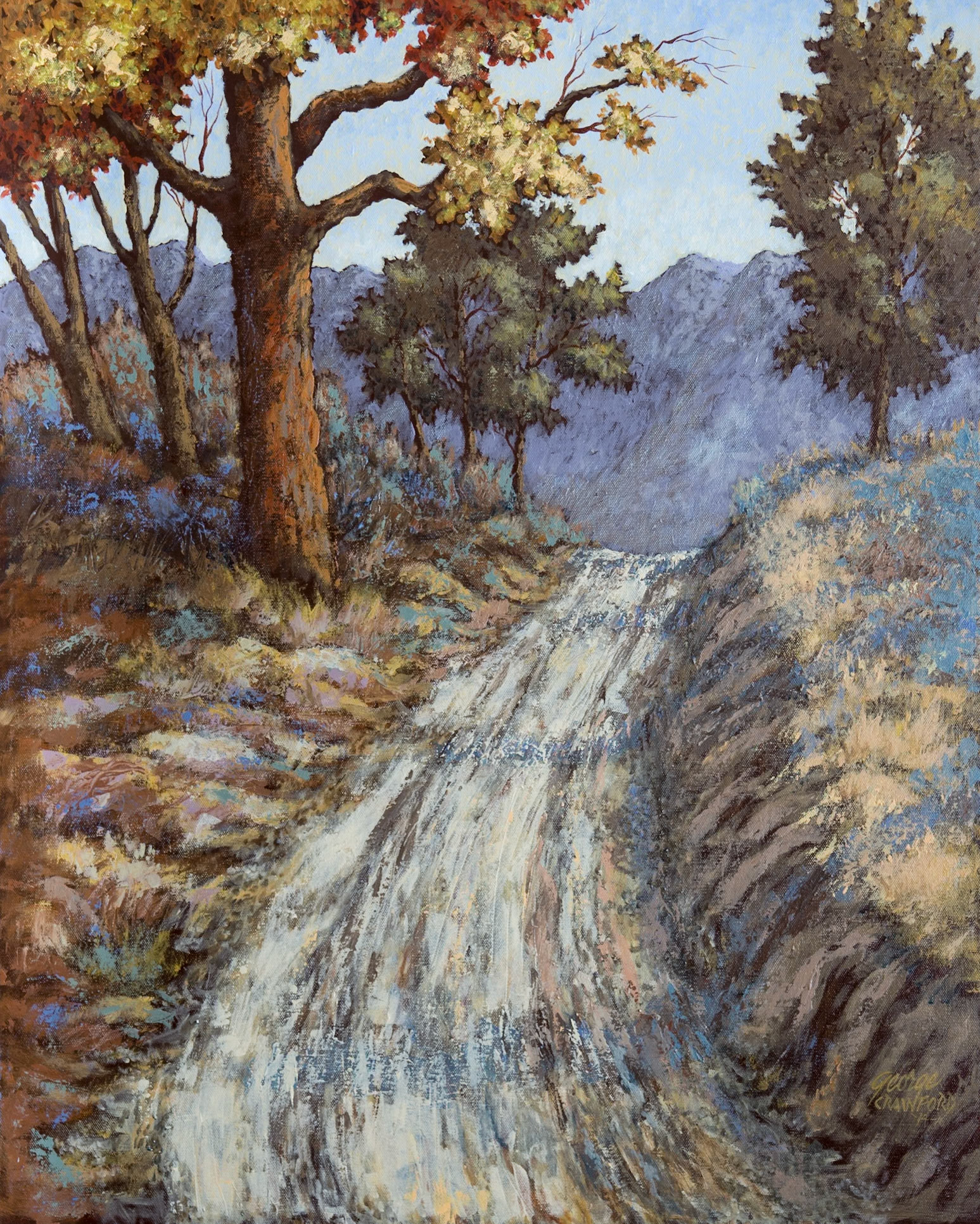 Rough Trail; Acrylic on canvas; 30  x 24  inches;  © 2014