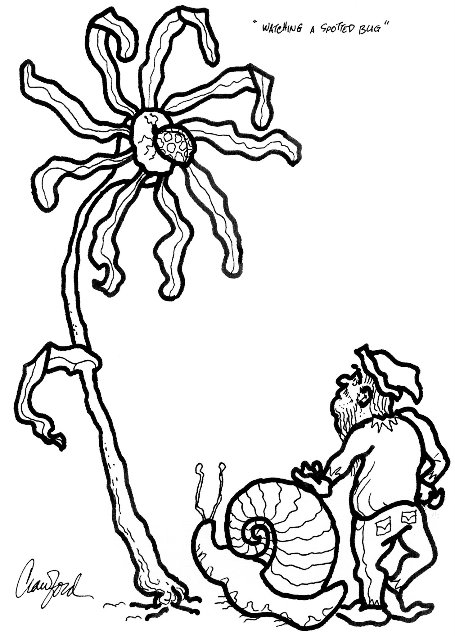 Watching a Spotted Bug; Pen and ink drawing