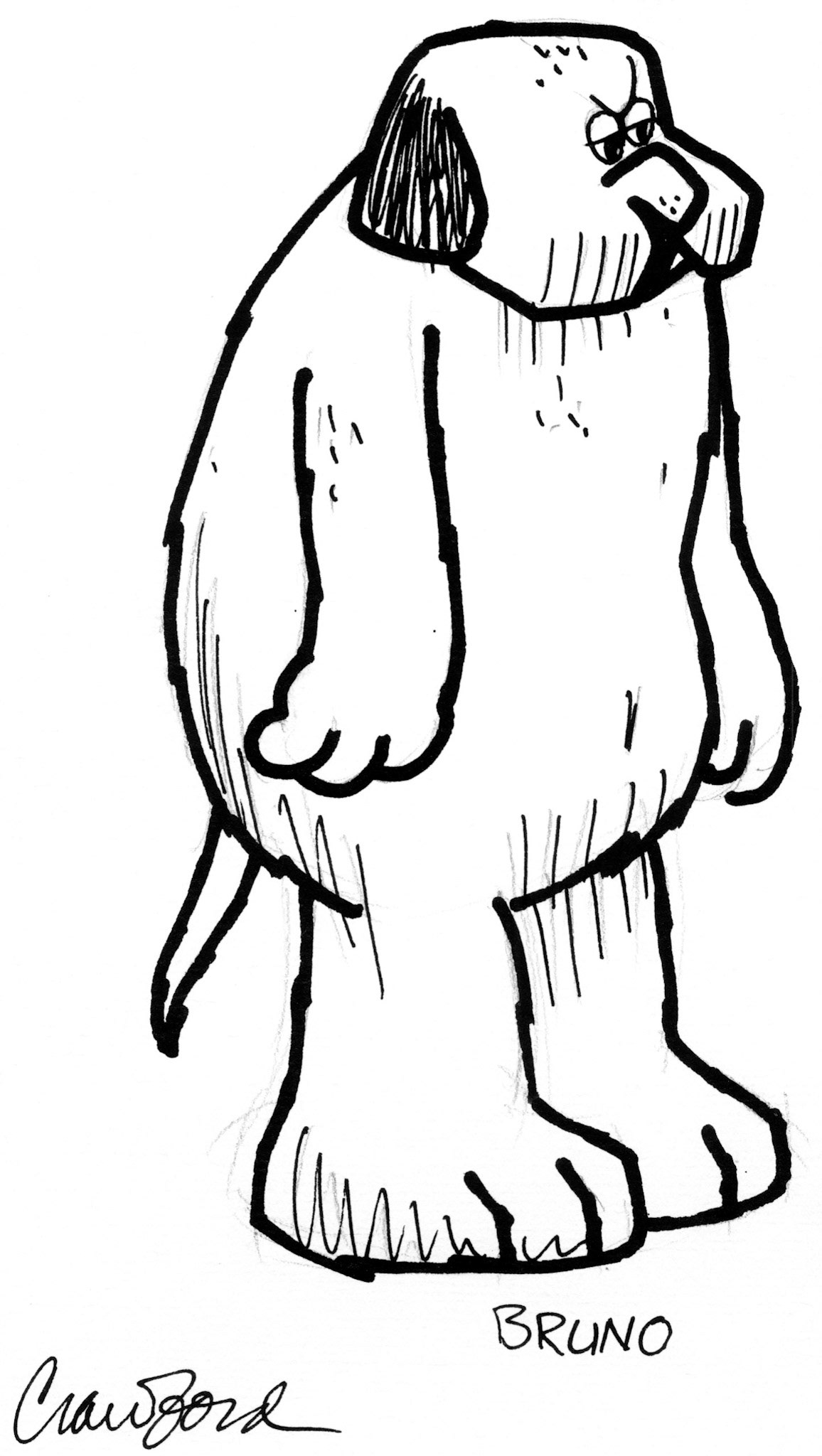 Bruno; Pen and ink drawing