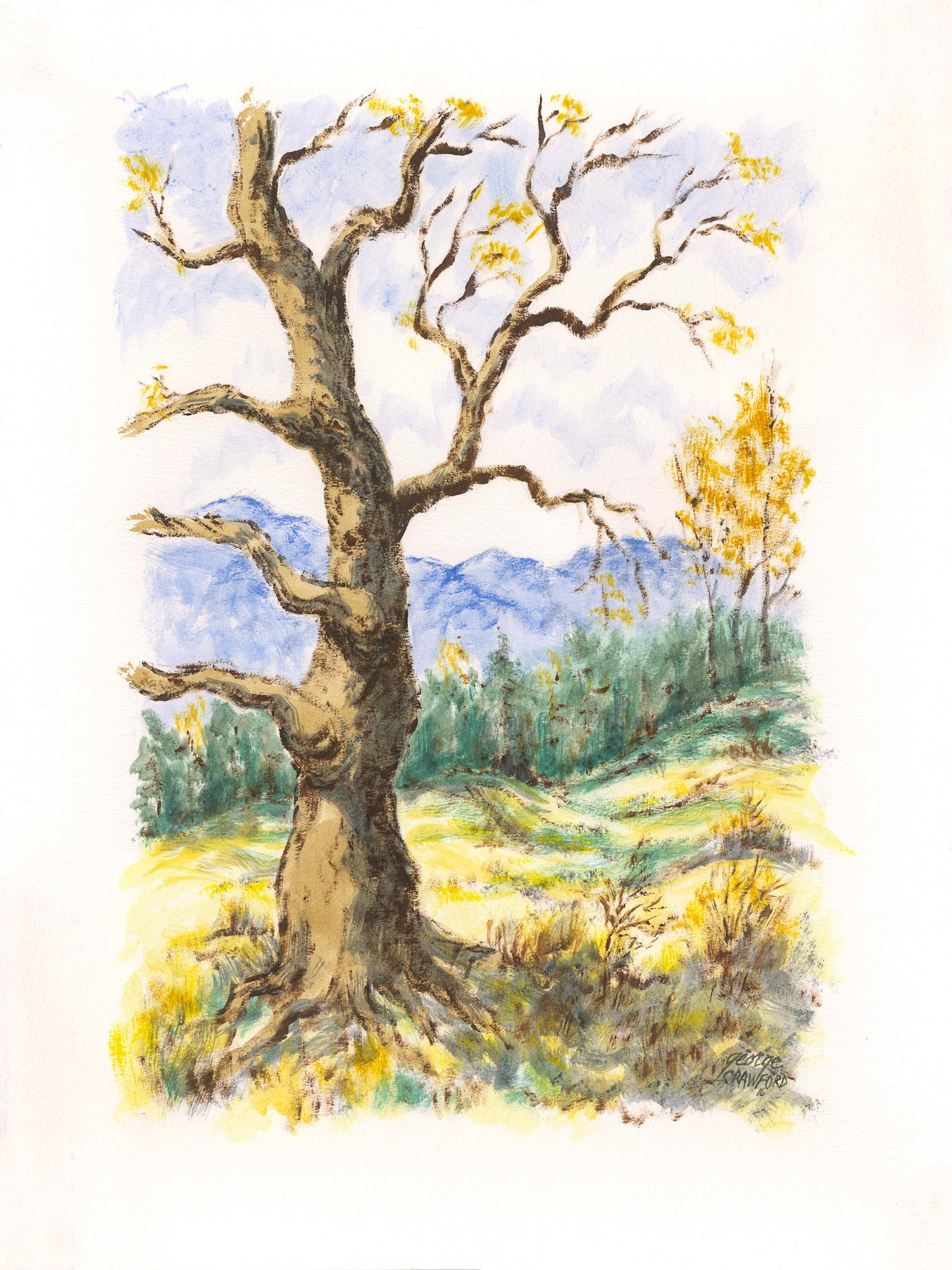 Untitled (Watercolor 16B); Acrylic watercolor on paper; 24 x 18 inches; © 2016