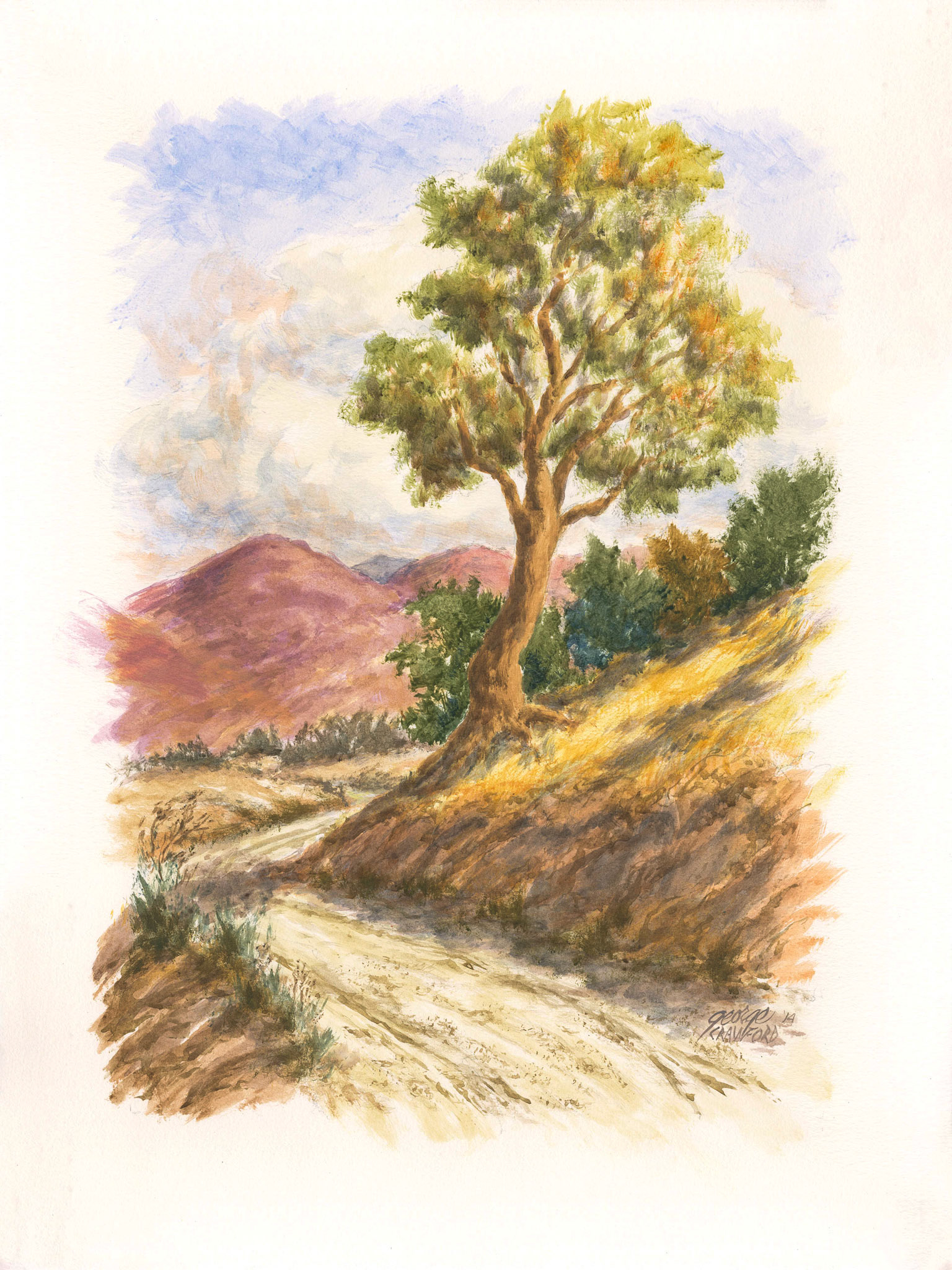 Untitled (Watercolor 14D); Acrylic watercolor on paper; 24 x 18 inches; © 2014